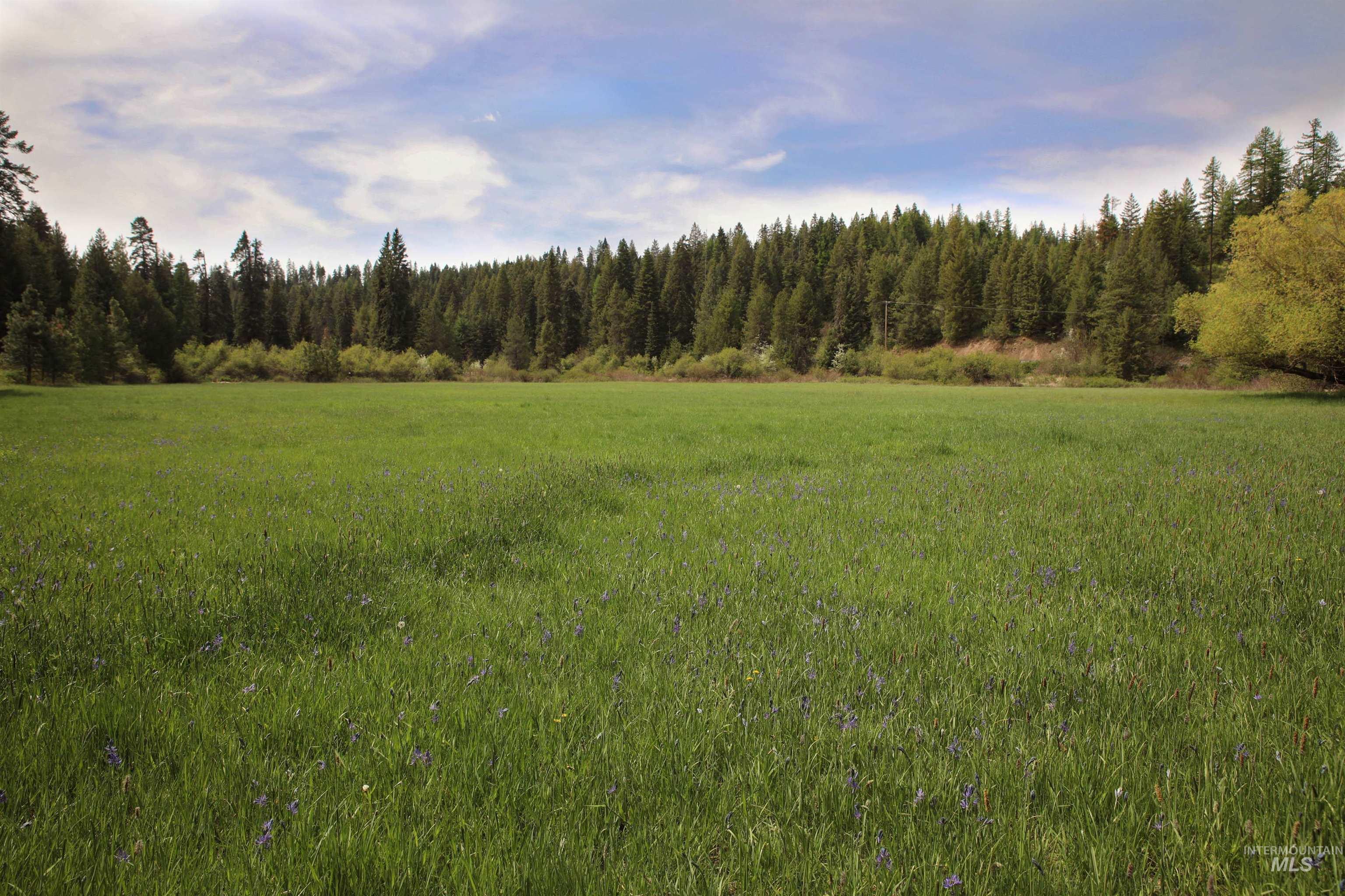 1021 Claypit Rd, Troy, Idaho 83871, 3 Bedrooms, 2 Bathrooms, Farm & Ranch For Sale, Price $865,000, 98946751