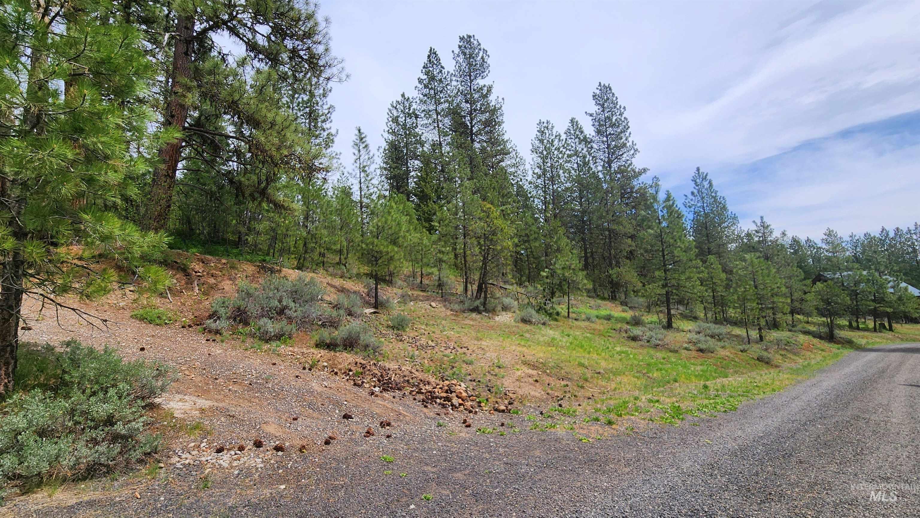 TBD Kimberland Drive, New Meadows, Idaho 83654, Land For Sale, Price $115,000,MLS 98946760