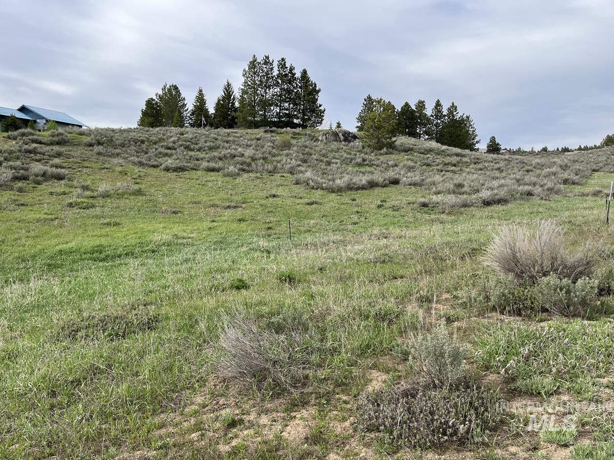 121 Skidoo Place, Cascade, Idaho 83611, Land For Sale, Price $90,000, 98946780
