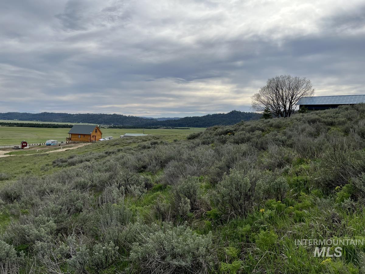 121 Skidoo Place, Cascade, Idaho 83611, Land For Sale, Price $90,000, 98946780