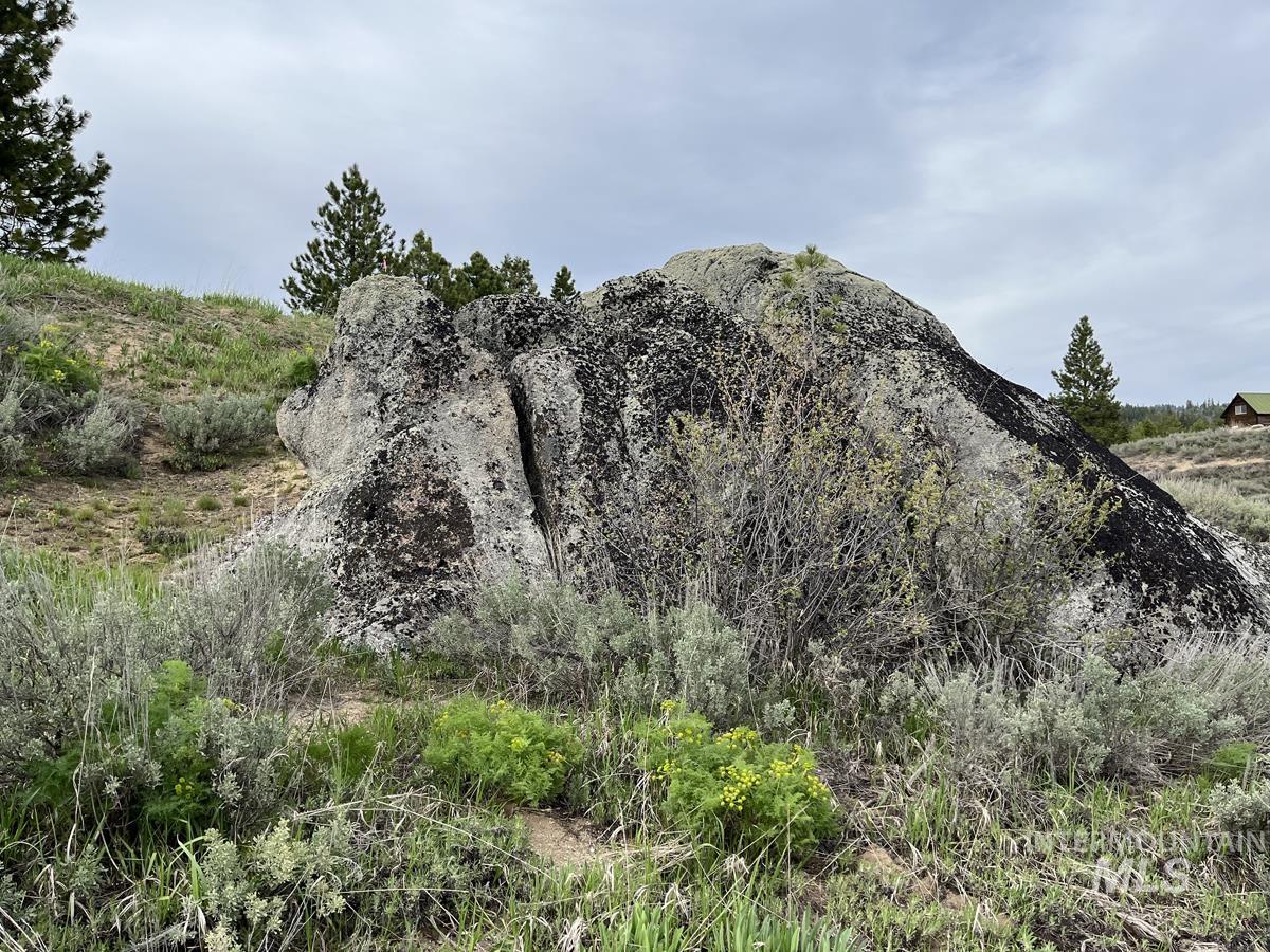 121 Skidoo Place, Cascade, Idaho 83611, Land For Sale, Price $90,000, 98946780