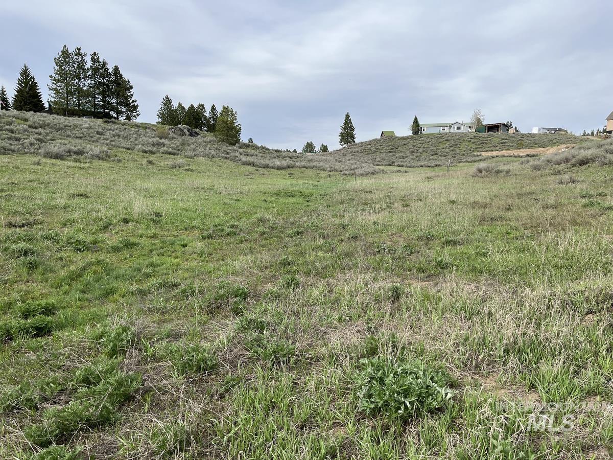 121 Skidoo Place, Cascade, Idaho 83611, Land For Sale, Price $90,000, 98946780