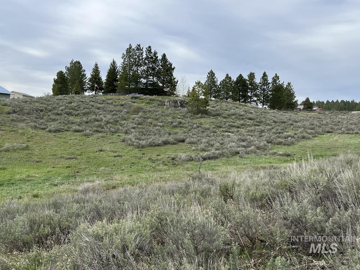 121 Skidoo Place, Cascade, Idaho 83611, Land For Sale, Price $90,000, 98946780