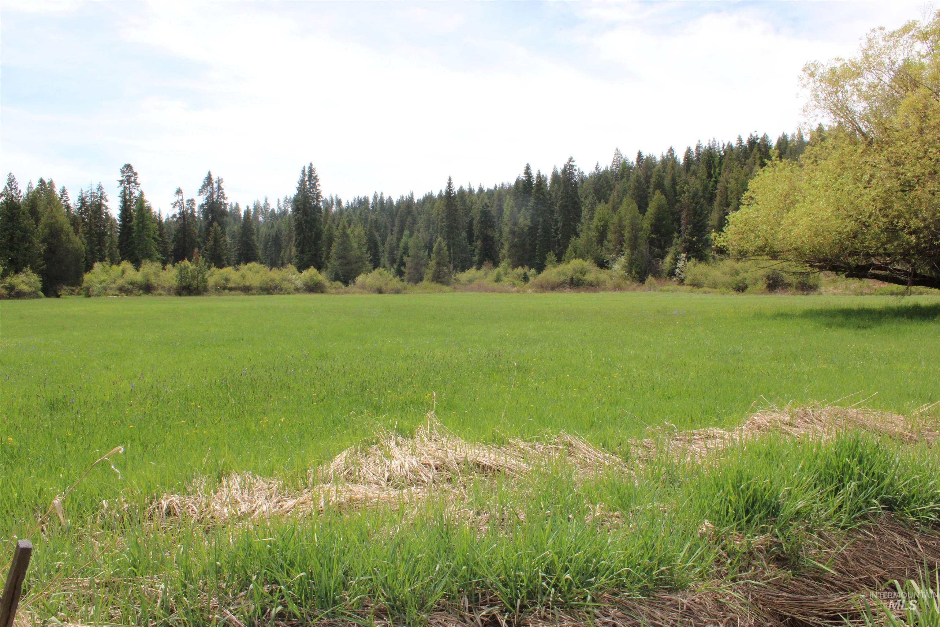 1021 Claypit Rd, Troy, Idaho 83871, 3 Bedrooms, 2 Bathrooms, Residential For Sale, Price $875,000, 98946788