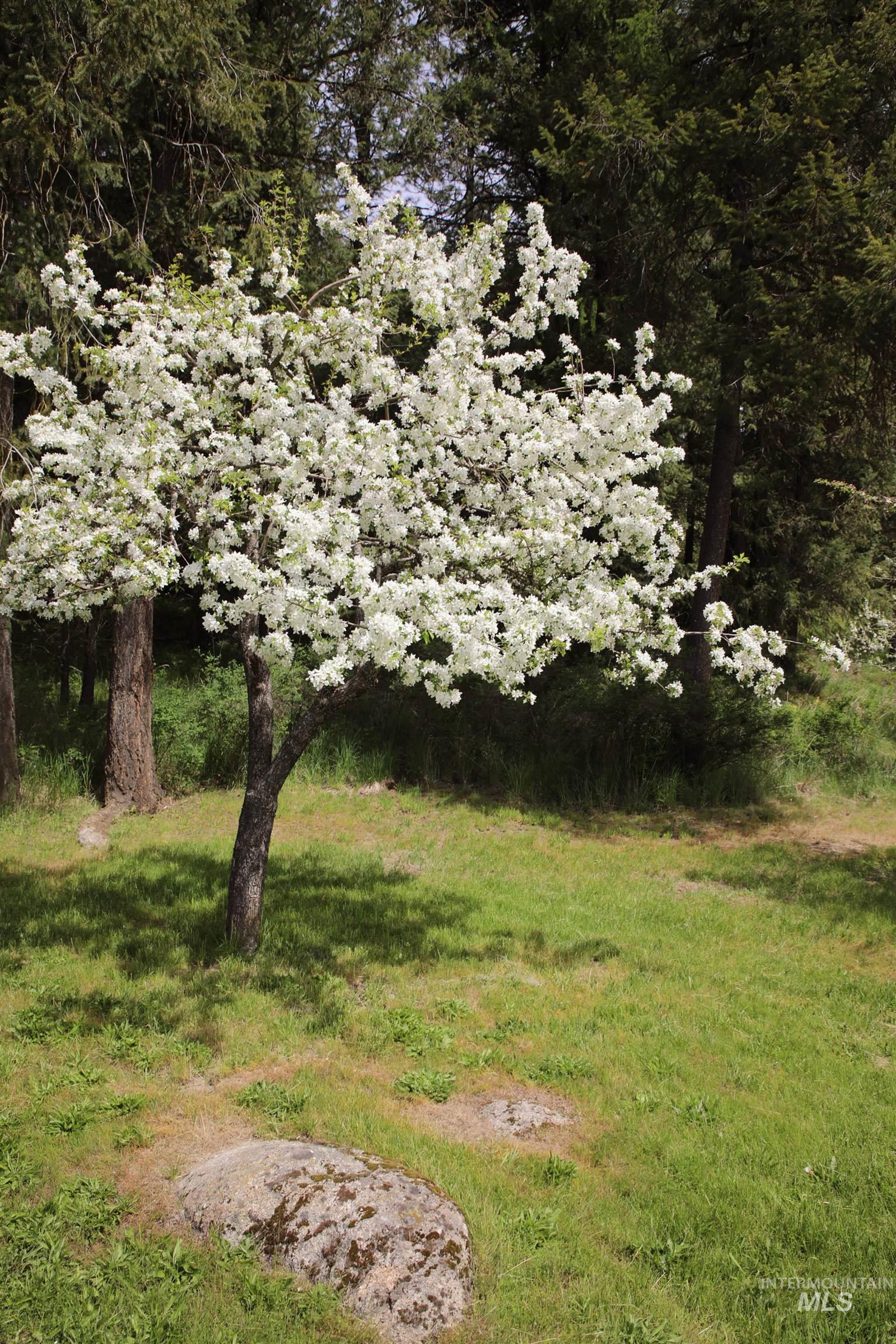 1021 Claypit Rd, Troy, Idaho 83871, 3 Bedrooms, 2 Bathrooms, Residential For Sale, Price $875,000, 98946788