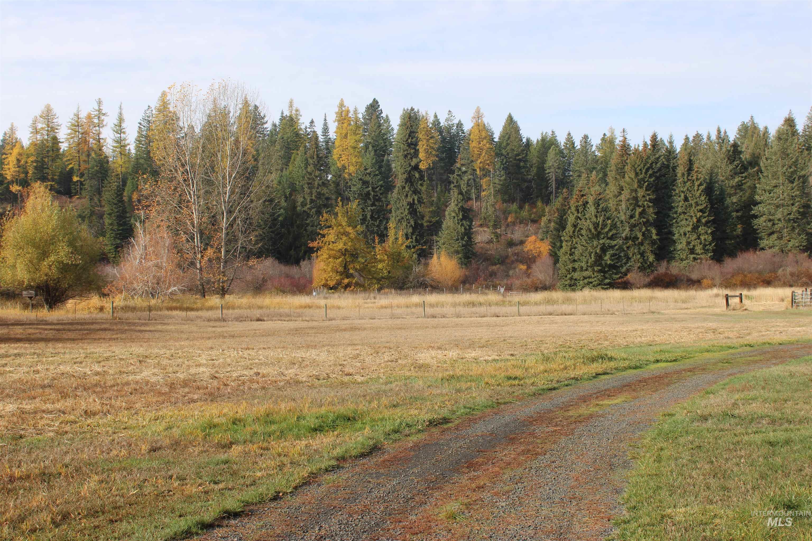 View of dirt / gravel road with a view of rural / pastoral area and a forest view