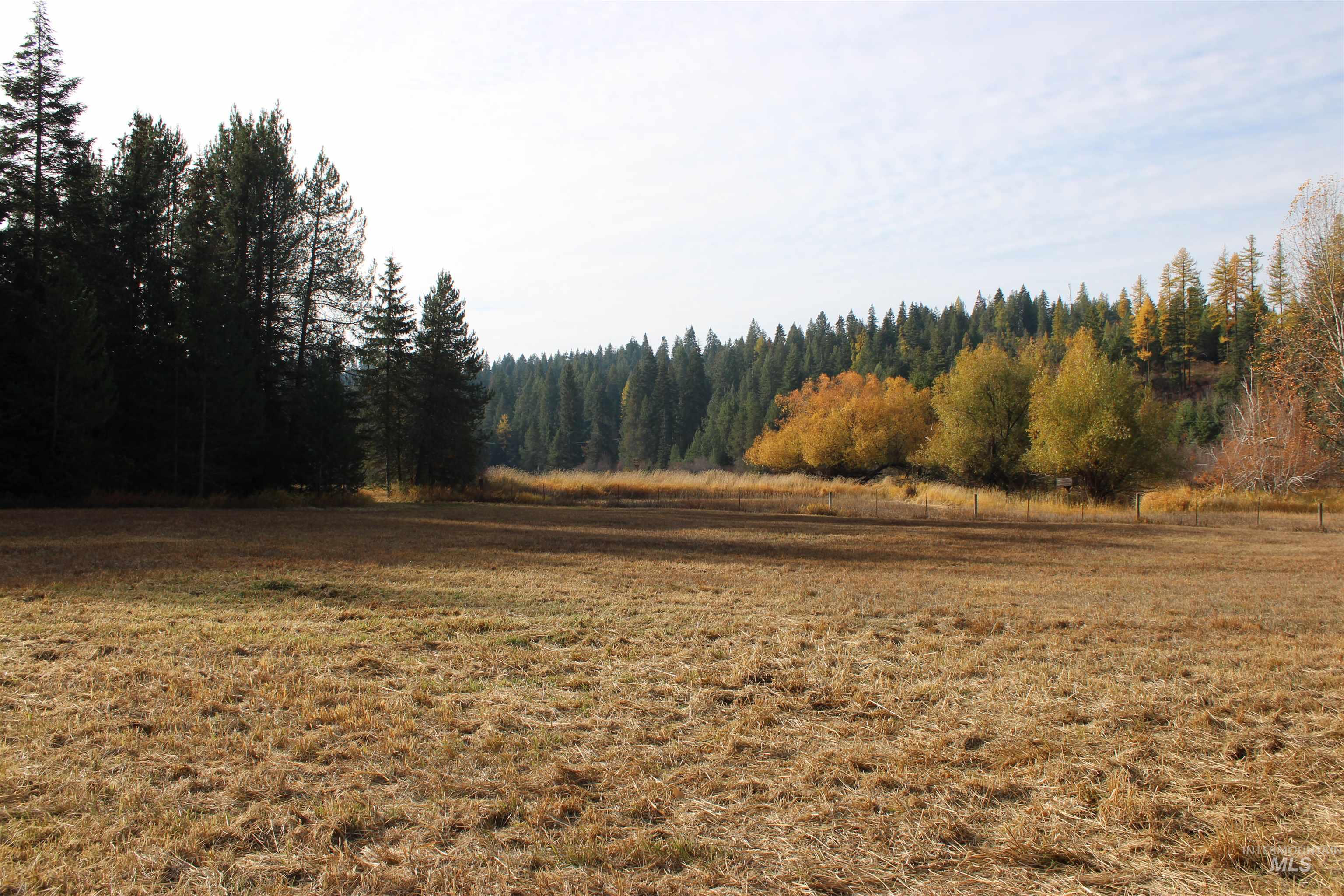 View of woods featuring a view of countryside