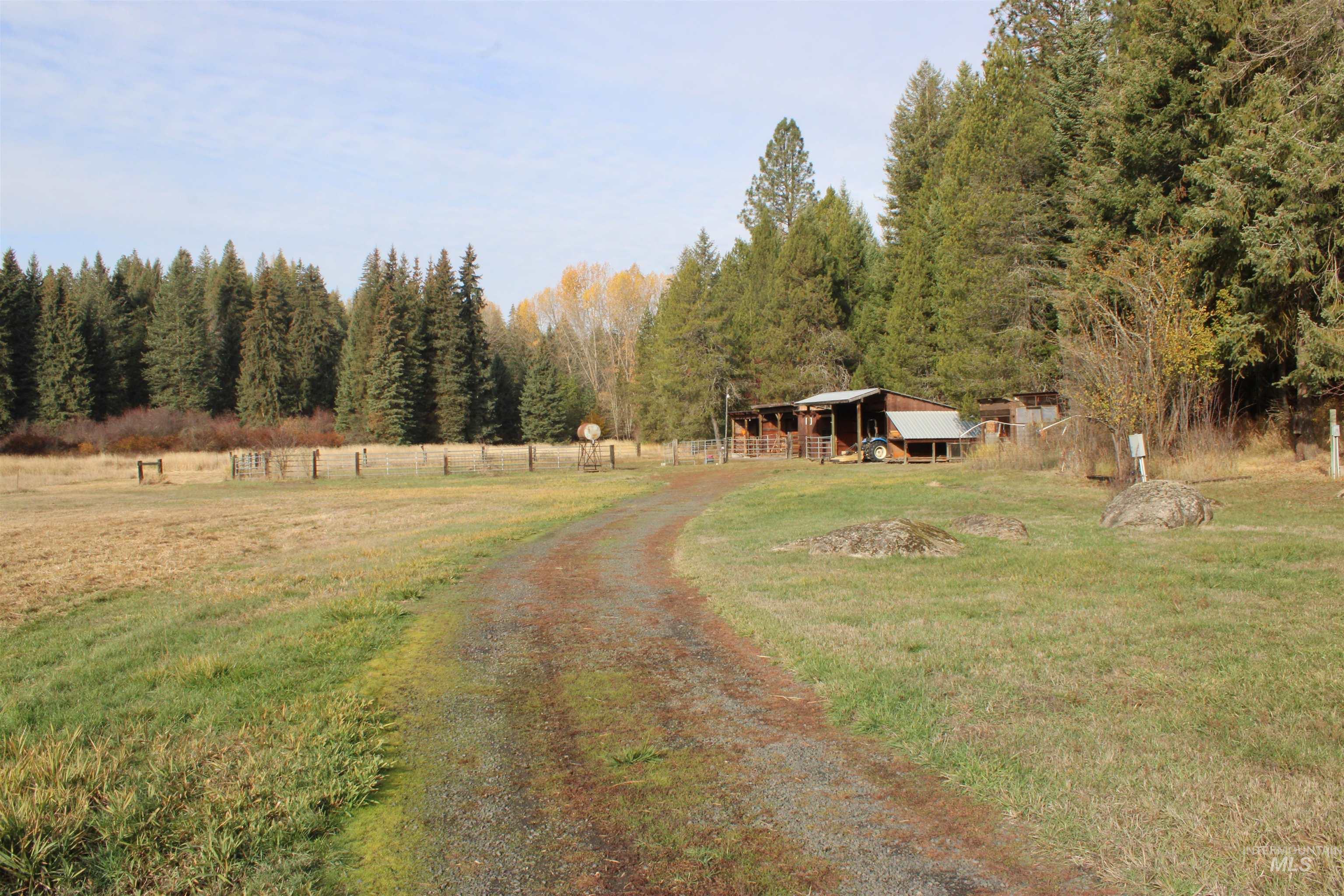 View of dirt / gravel road with a forest view and a view of rural / pastoral area