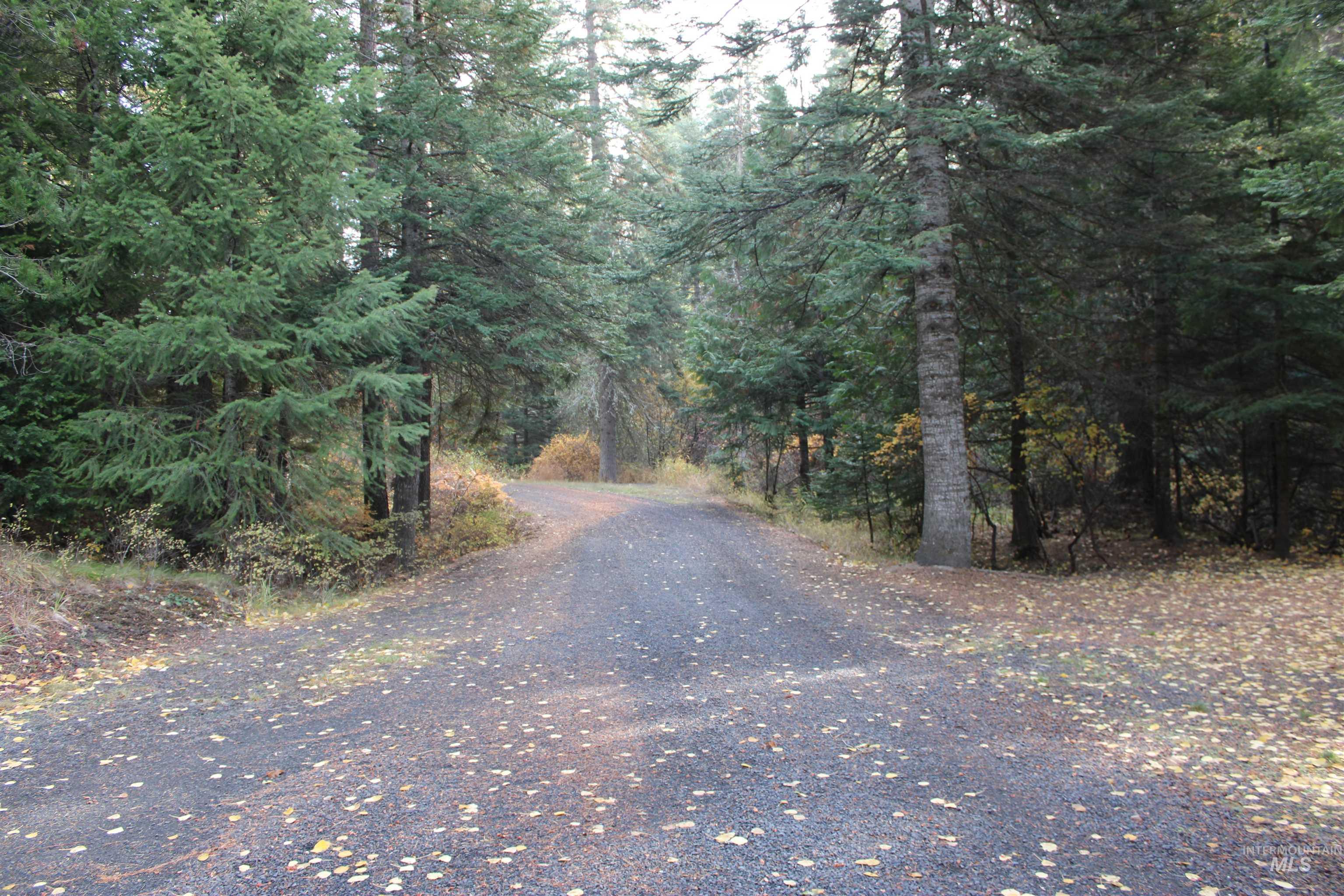 View of dirt / gravel road featuring a wooded view