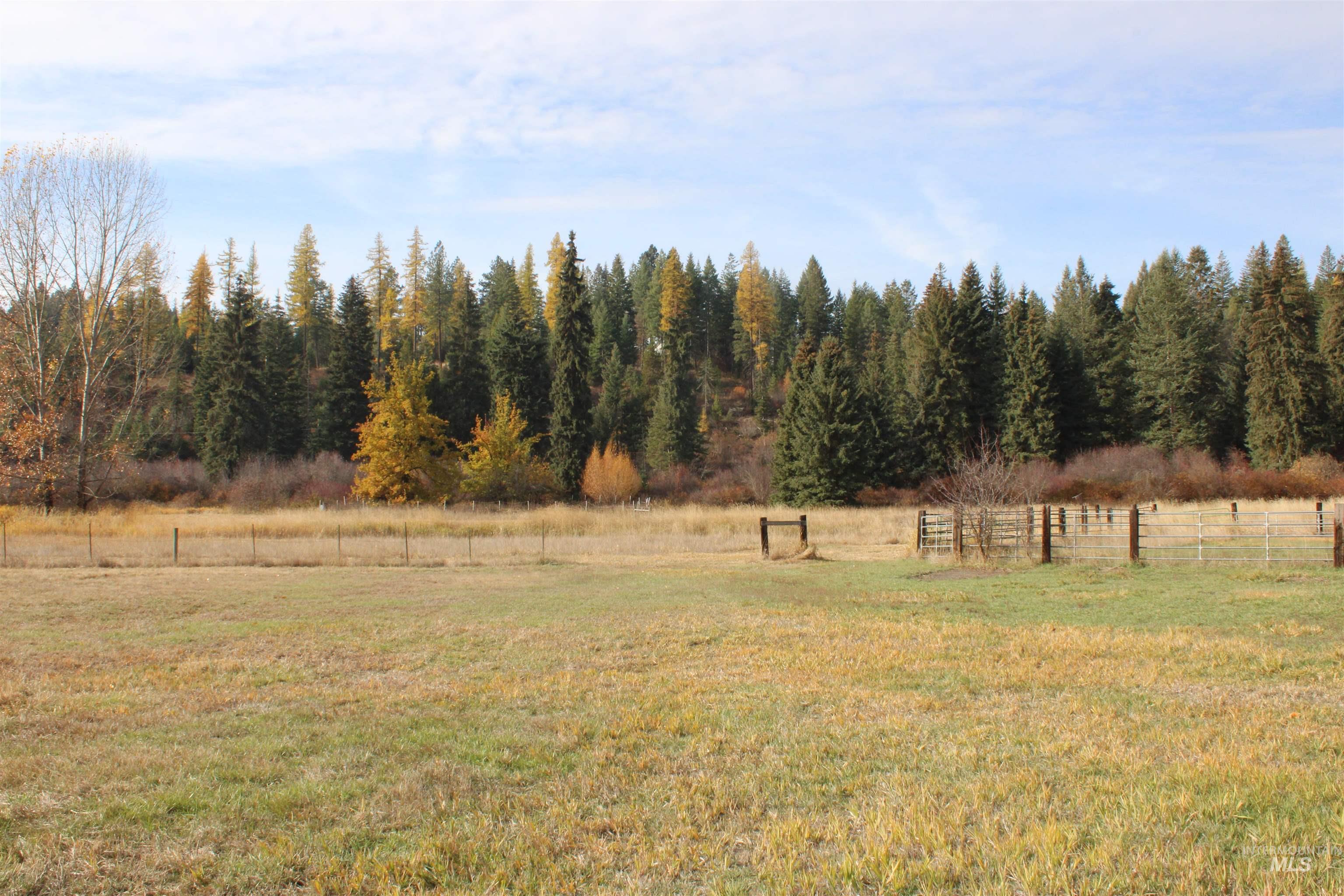 View of yard with a rural view and a forest view