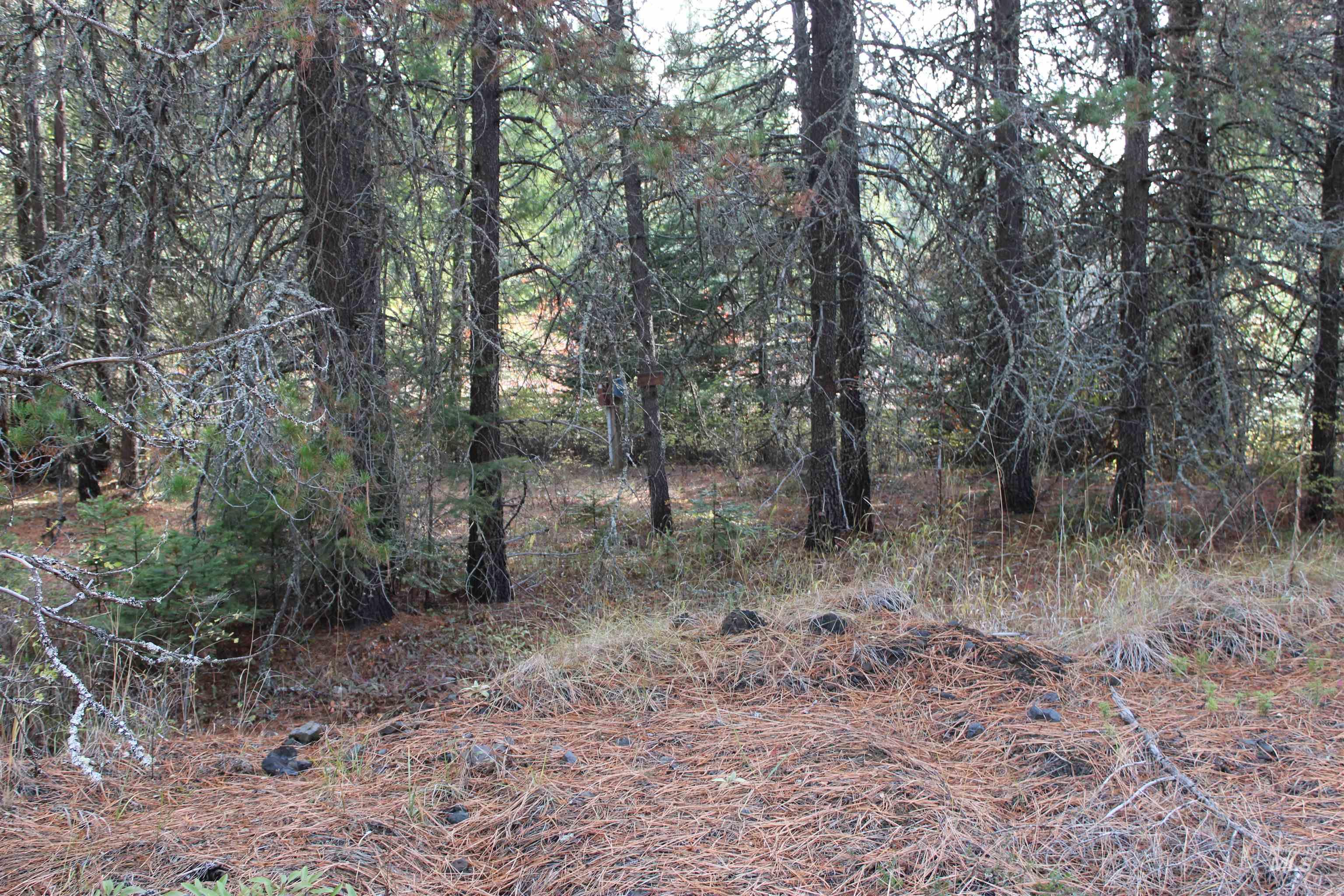 View of undeveloped land