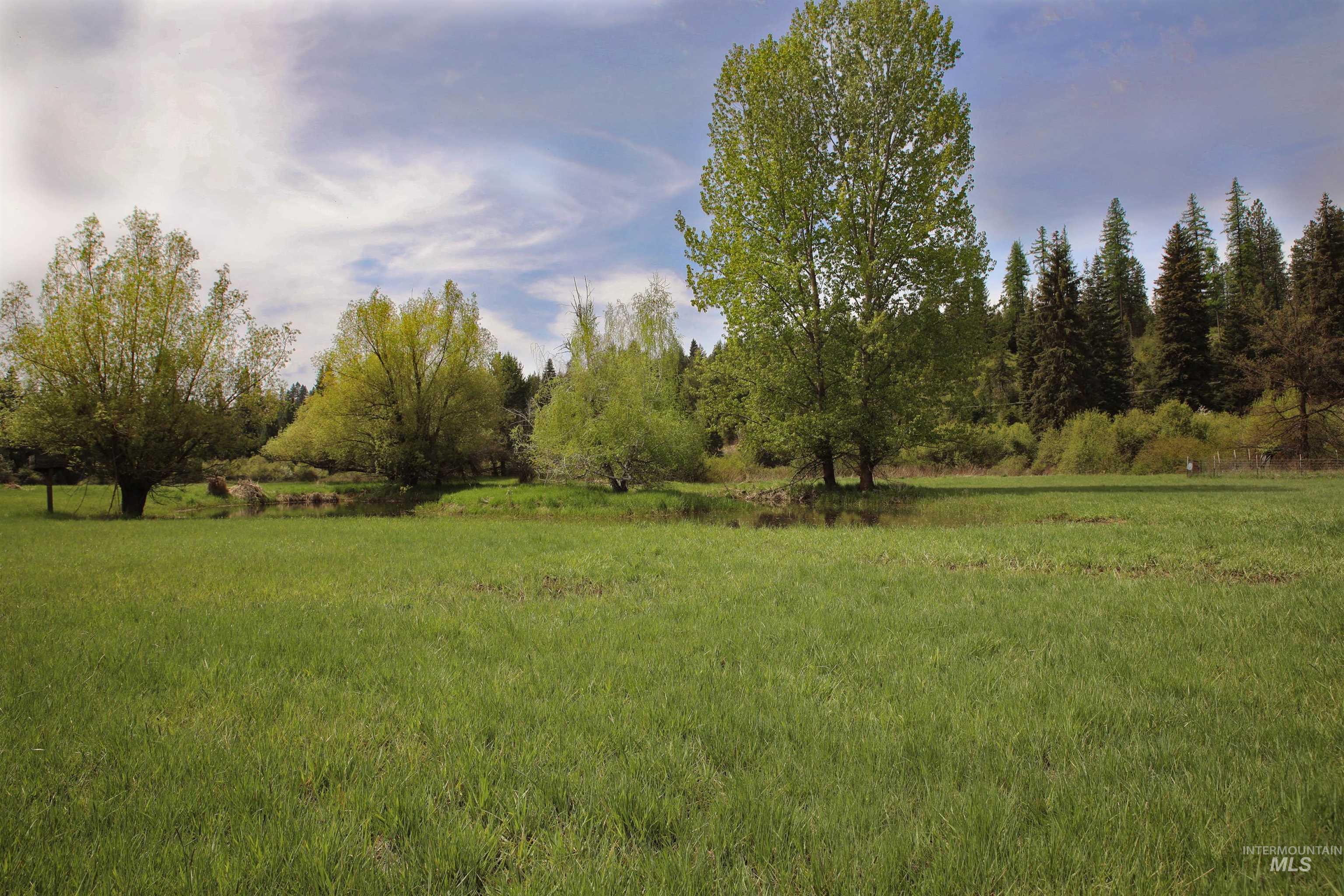 1021 Claypit Rd, Troy, Idaho 83871, 3 Bedrooms, 2 Bathrooms, Residential For Sale, Price $875,000, 98946788