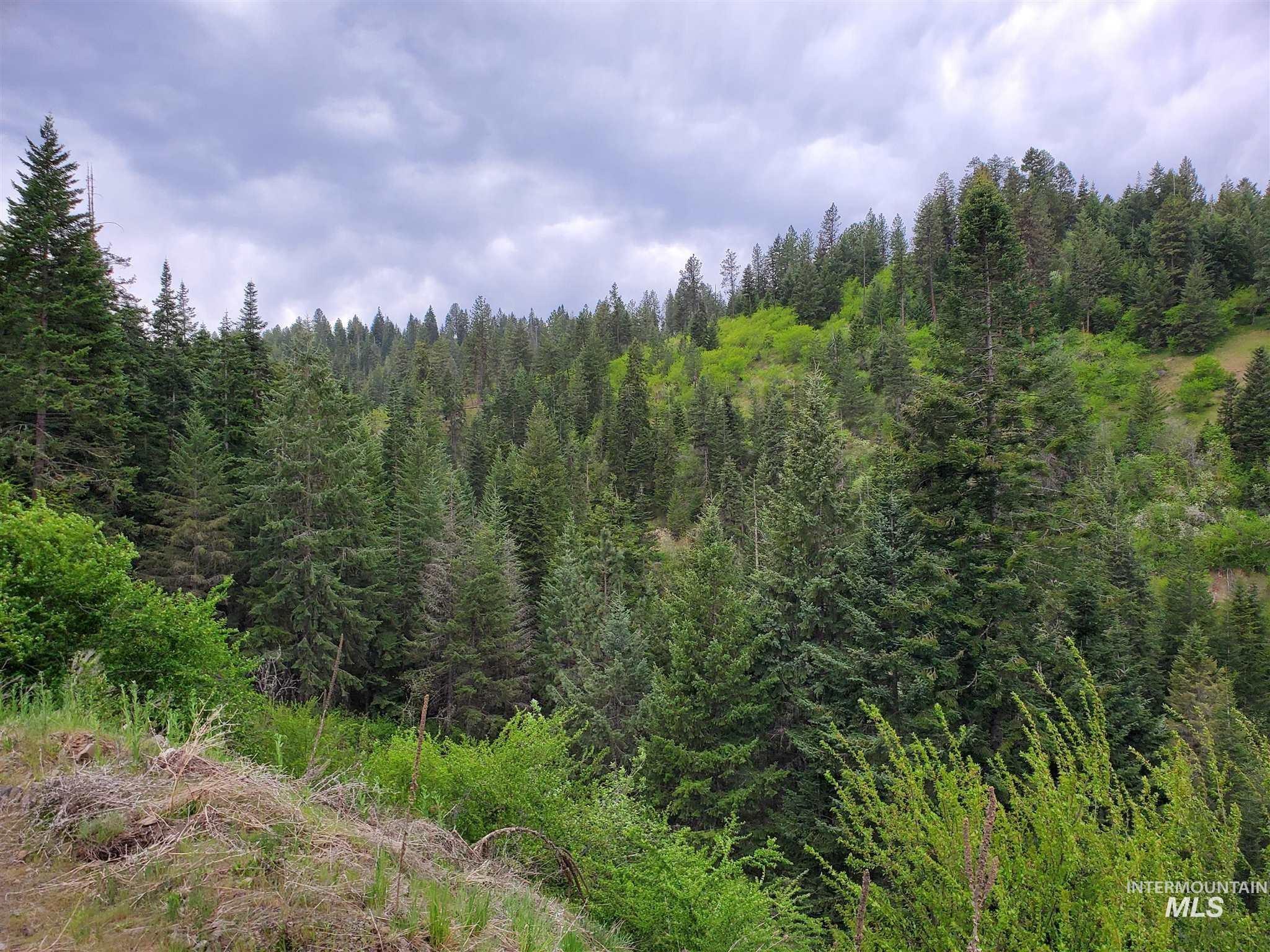 TBD Clearwater Rd, Stites, Idaho 83552, Land For Sale, Price $658,000,MLS 98946794