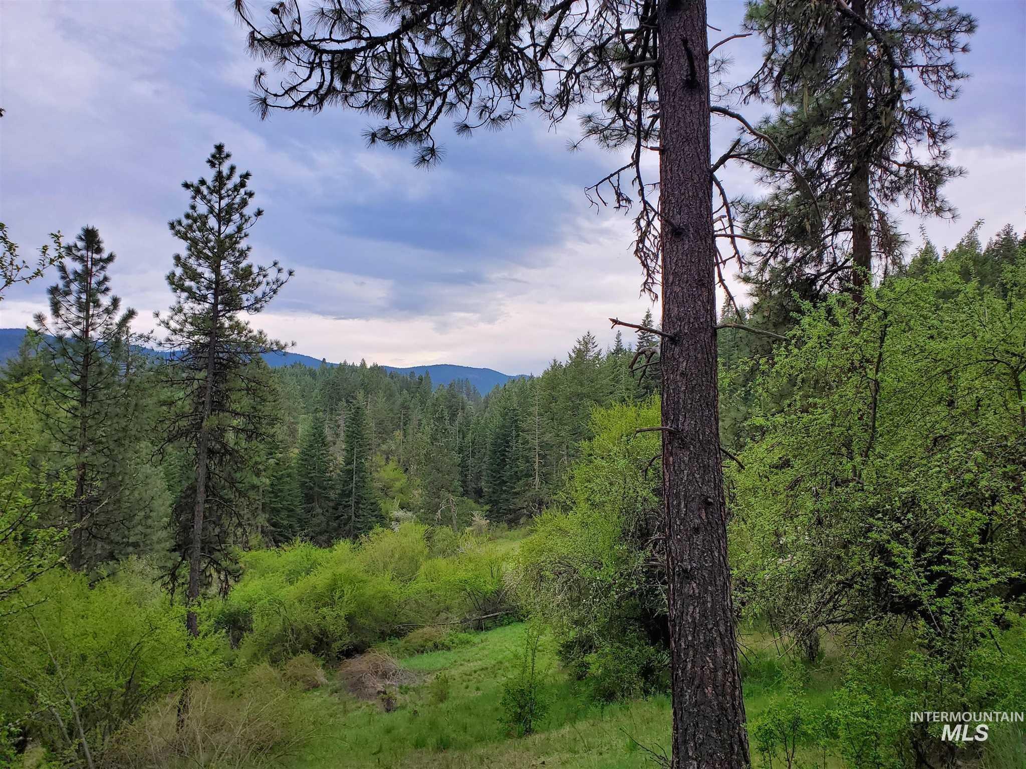 TBD Clearwater Rd, Stites, Idaho 83552, Land For Sale, Price $658,000, 98946794