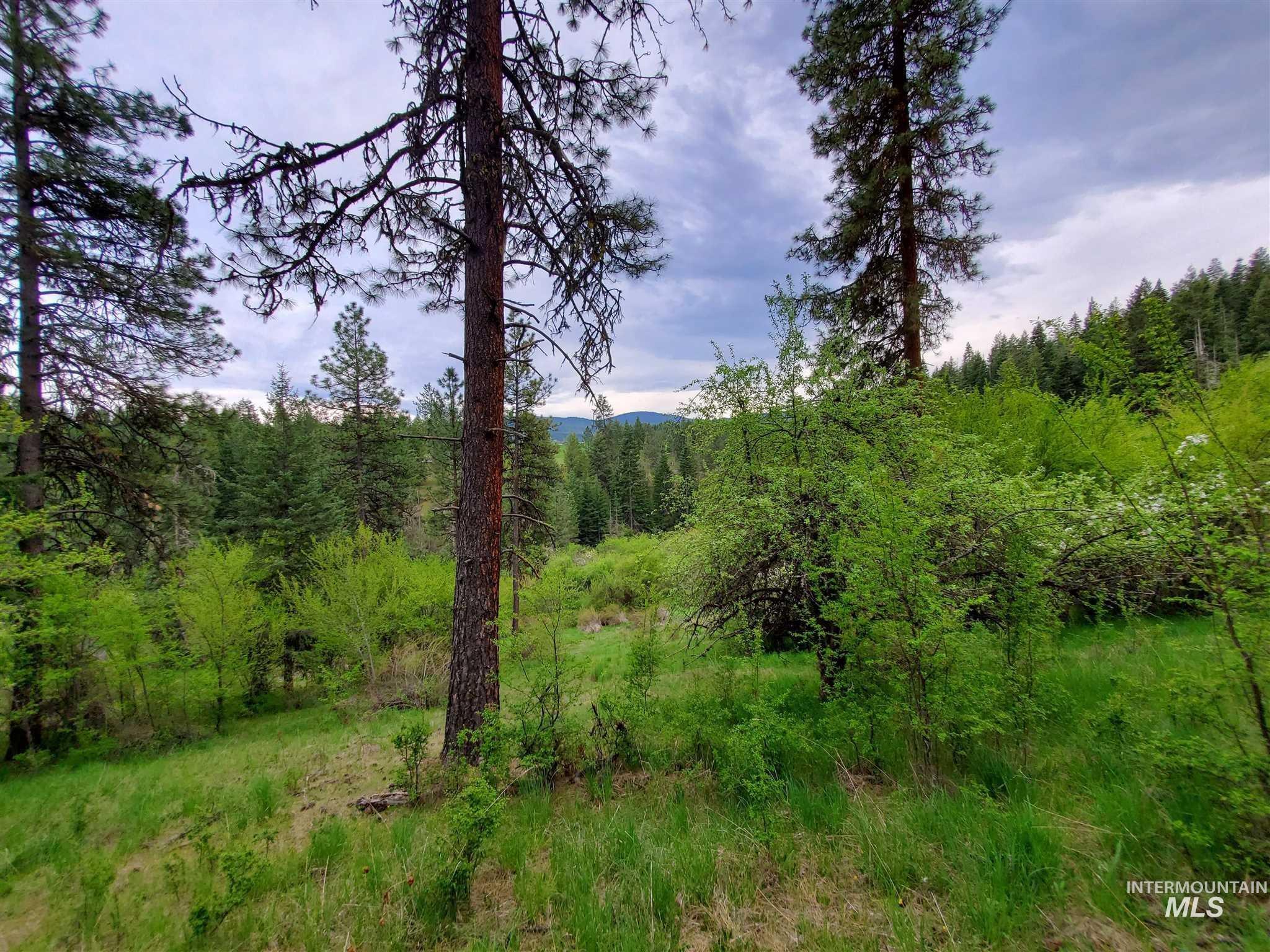 TBD Clearwater Rd, Stites, Idaho 83552, Land For Sale, Price $658,000, 98946794