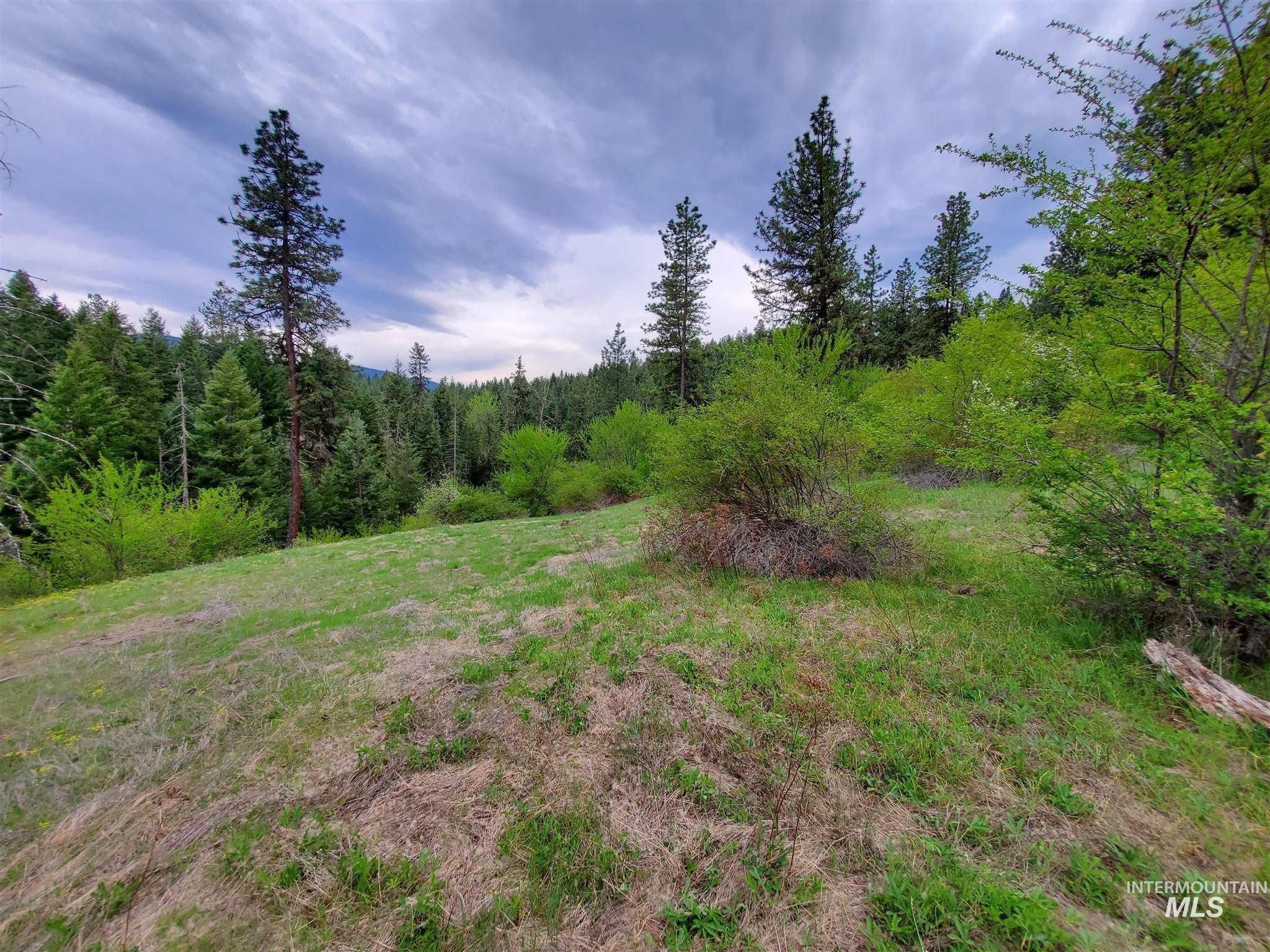 TBD Clearwater Rd, Stites, Idaho 83552, Land For Sale, Price $658,000, 98946794