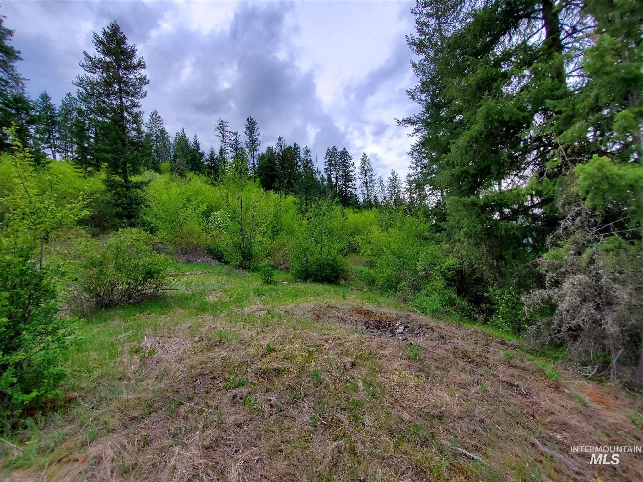 TBD Clearwater Rd, Stites, Idaho 83552, Land For Sale, Price $658,000, 98946794