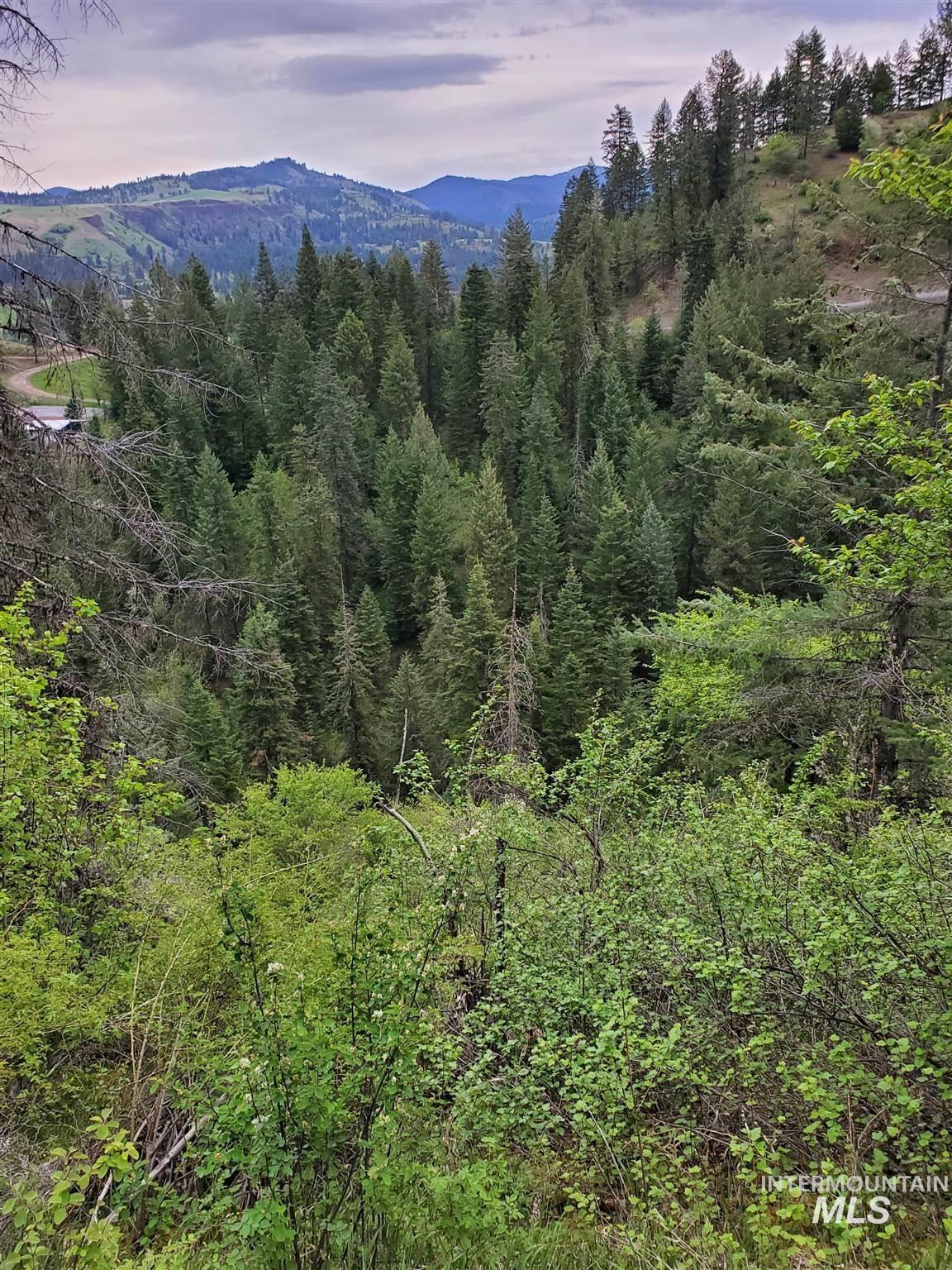 TBD Clearwater Rd, Stites, Idaho 83552, Land For Sale, Price $658,000, 98946794