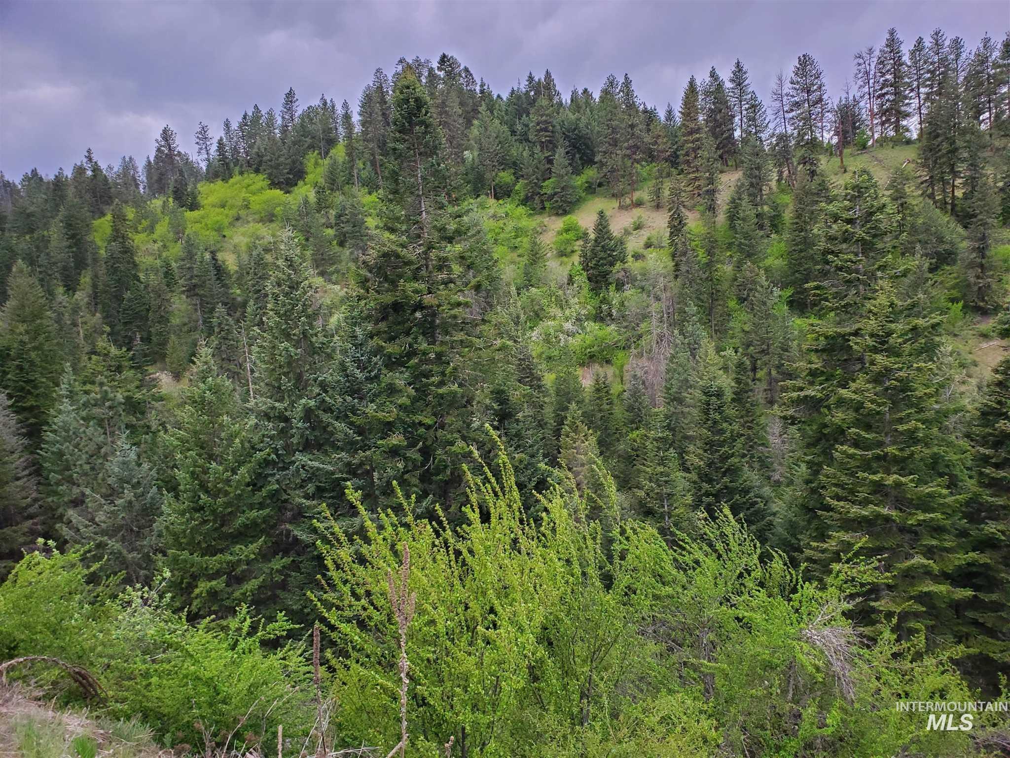 TBD Clearwater Rd, Stites, Idaho 83552, Land For Sale, Price $658,000, 98946794