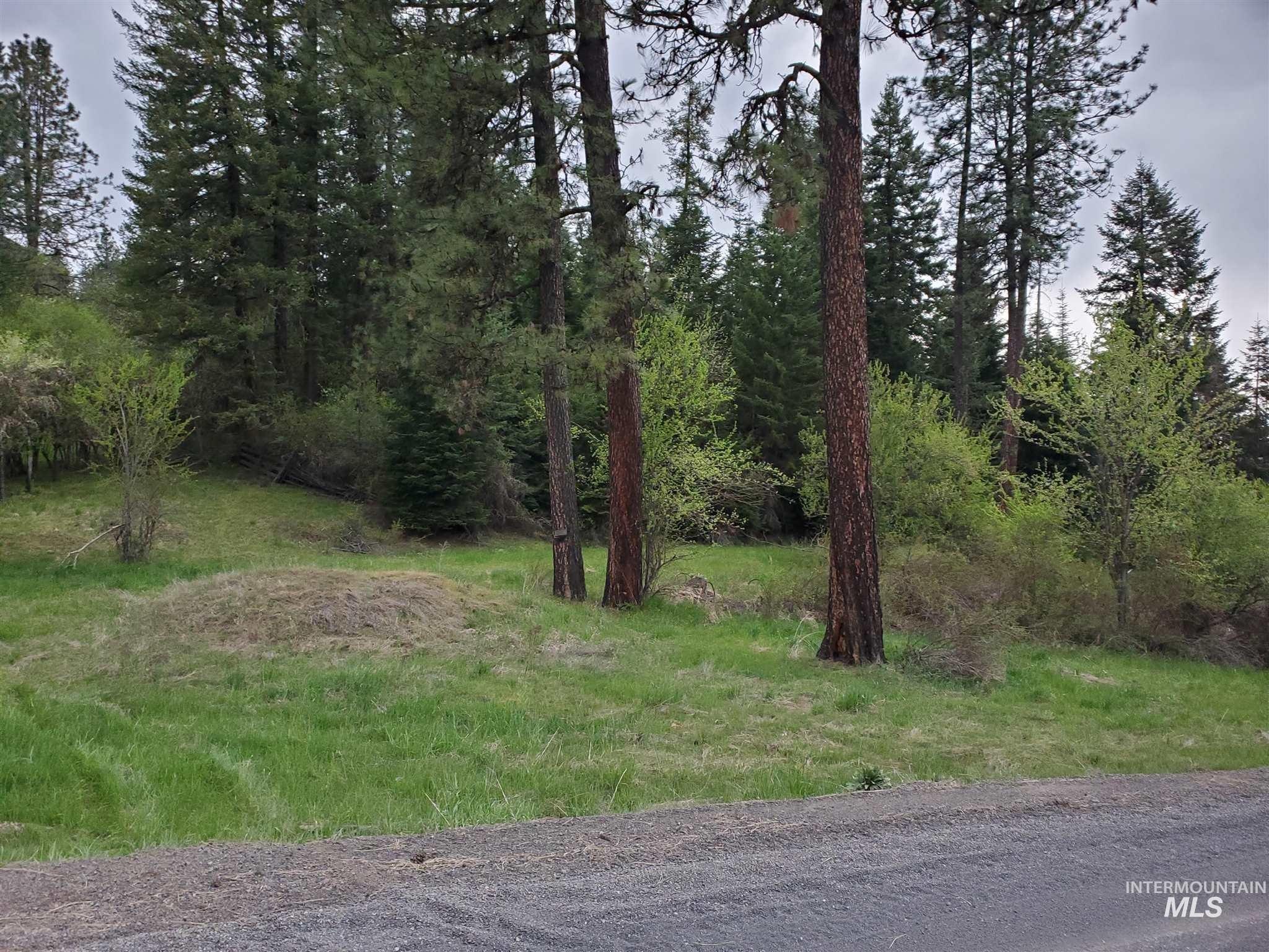 TBD Clearwater Rd, Stites, Idaho 83552, Land For Sale, Price $658,000, 98946794