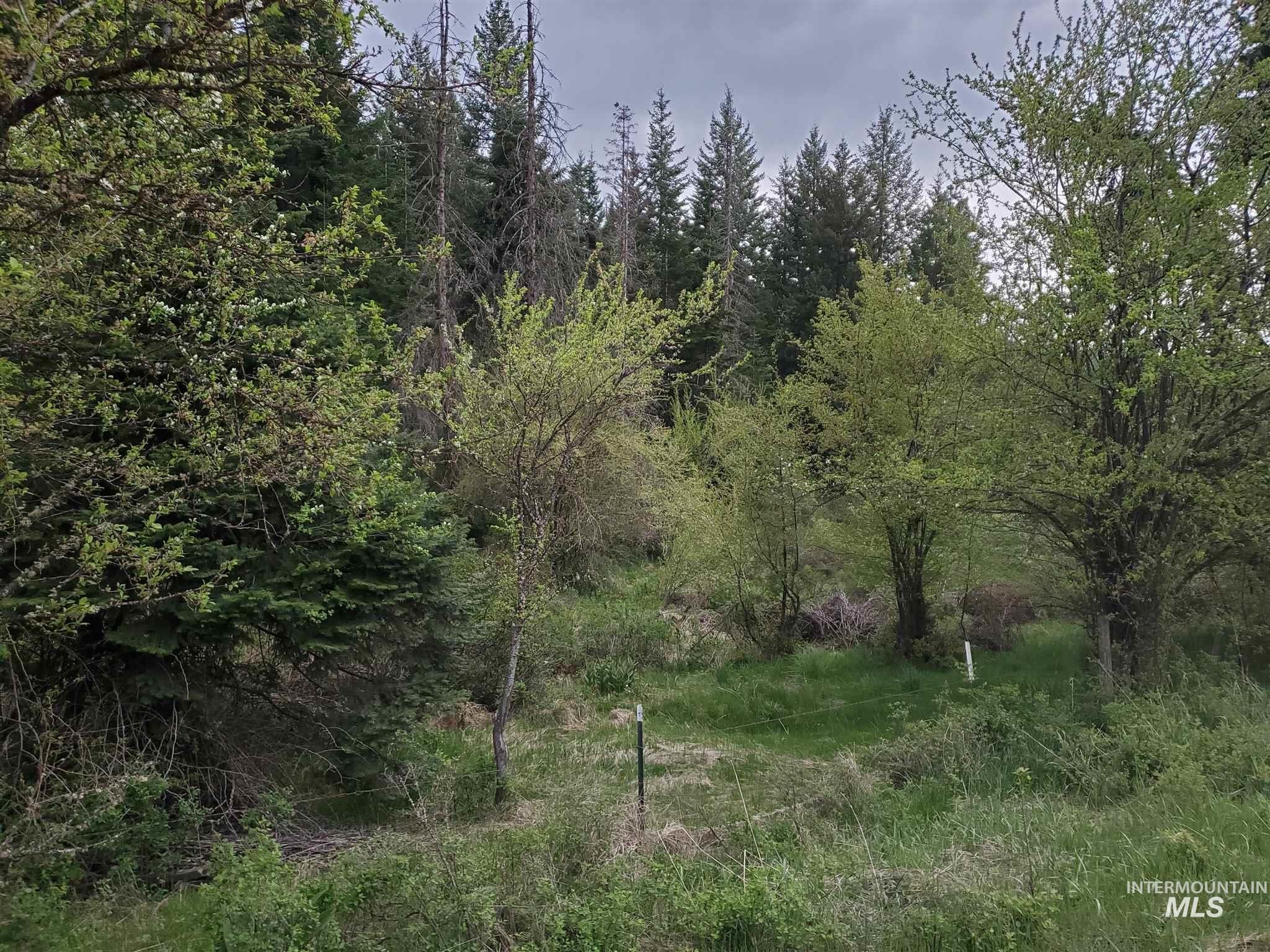 TBD Clearwater Rd, Stites, Idaho 83552, Land For Sale, Price $658,000, 98946794