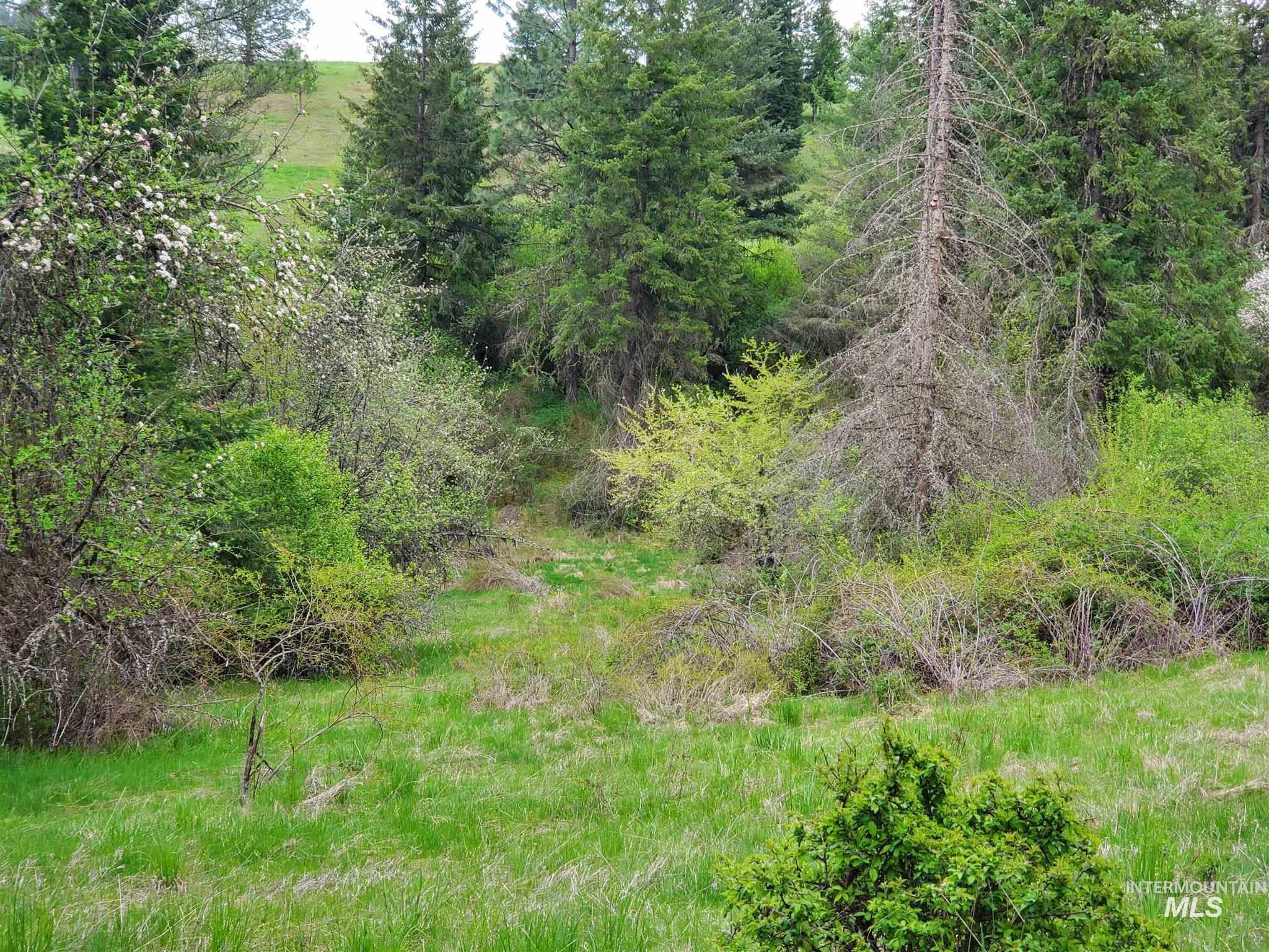 TBD Clearwater Rd, Stites, Idaho 83552, Land For Sale, Price $658,000, 98946794
