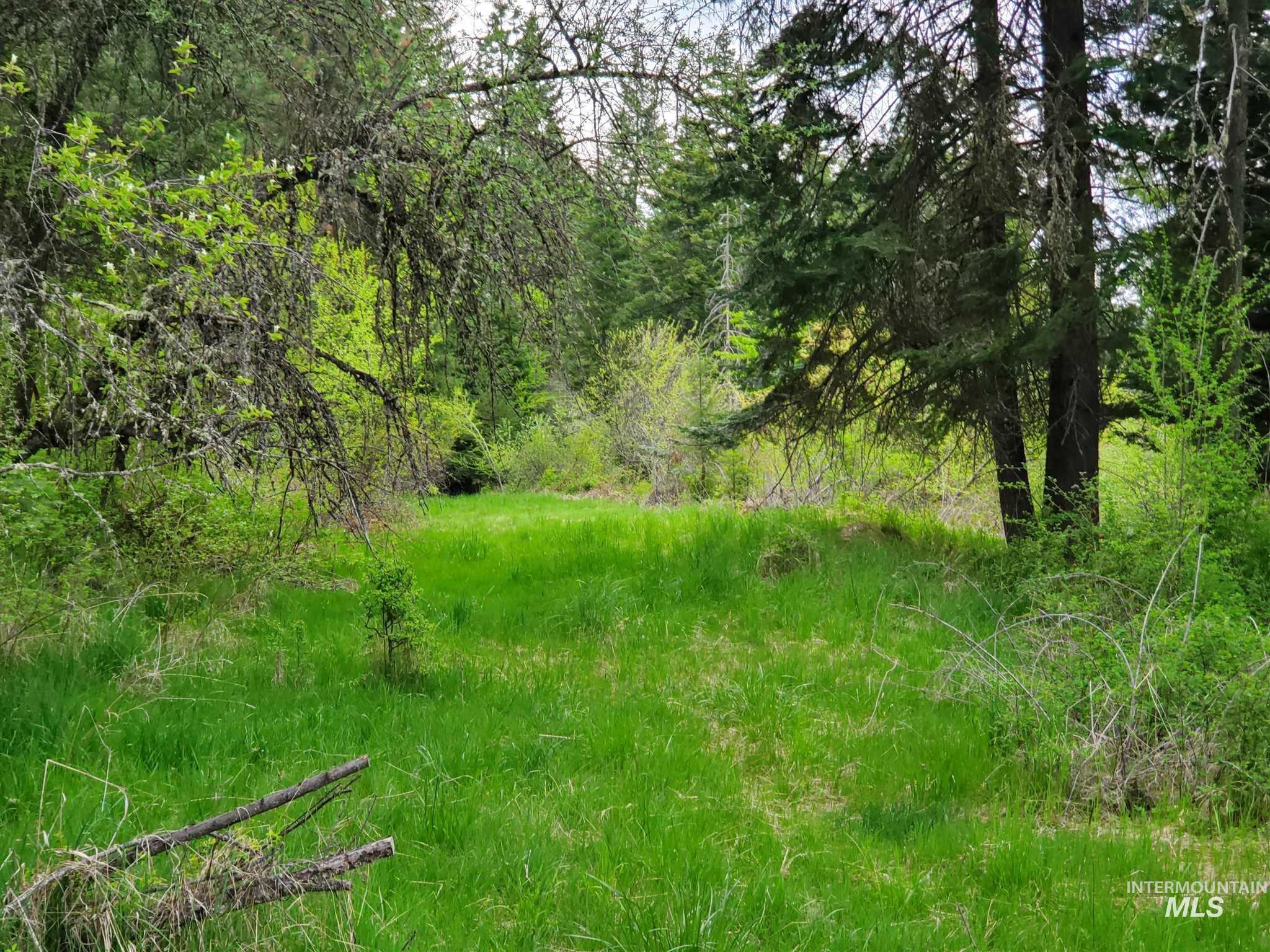 TBD Clearwater Rd, Stites, Idaho 83552, Land For Sale, Price $658,000, 98946794