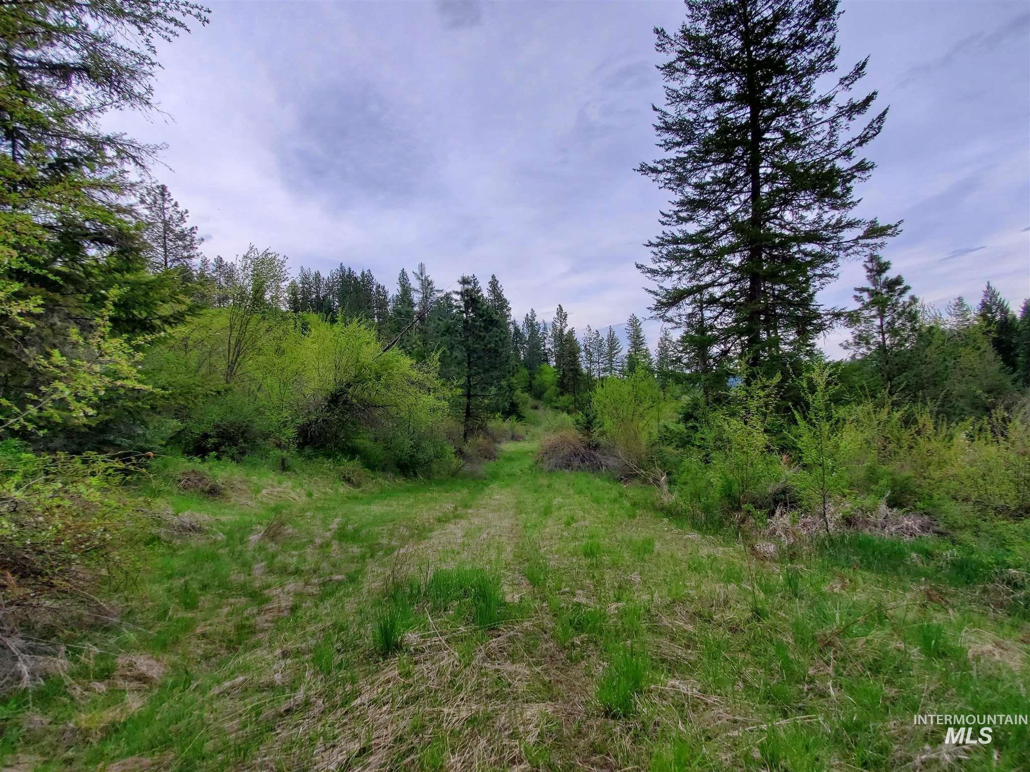 TBD Clearwater Rd, Stites, Idaho 83552, Land For Sale, Price $658,000, 98946794