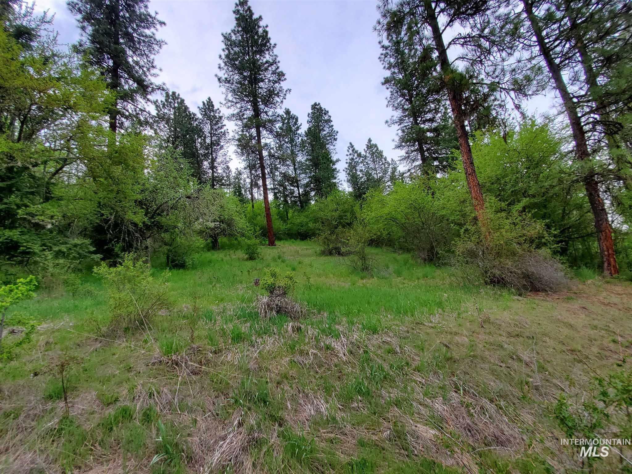 TBD Clearwater Rd, Stites, Idaho 83552, Land For Sale, Price $658,000, 98946794