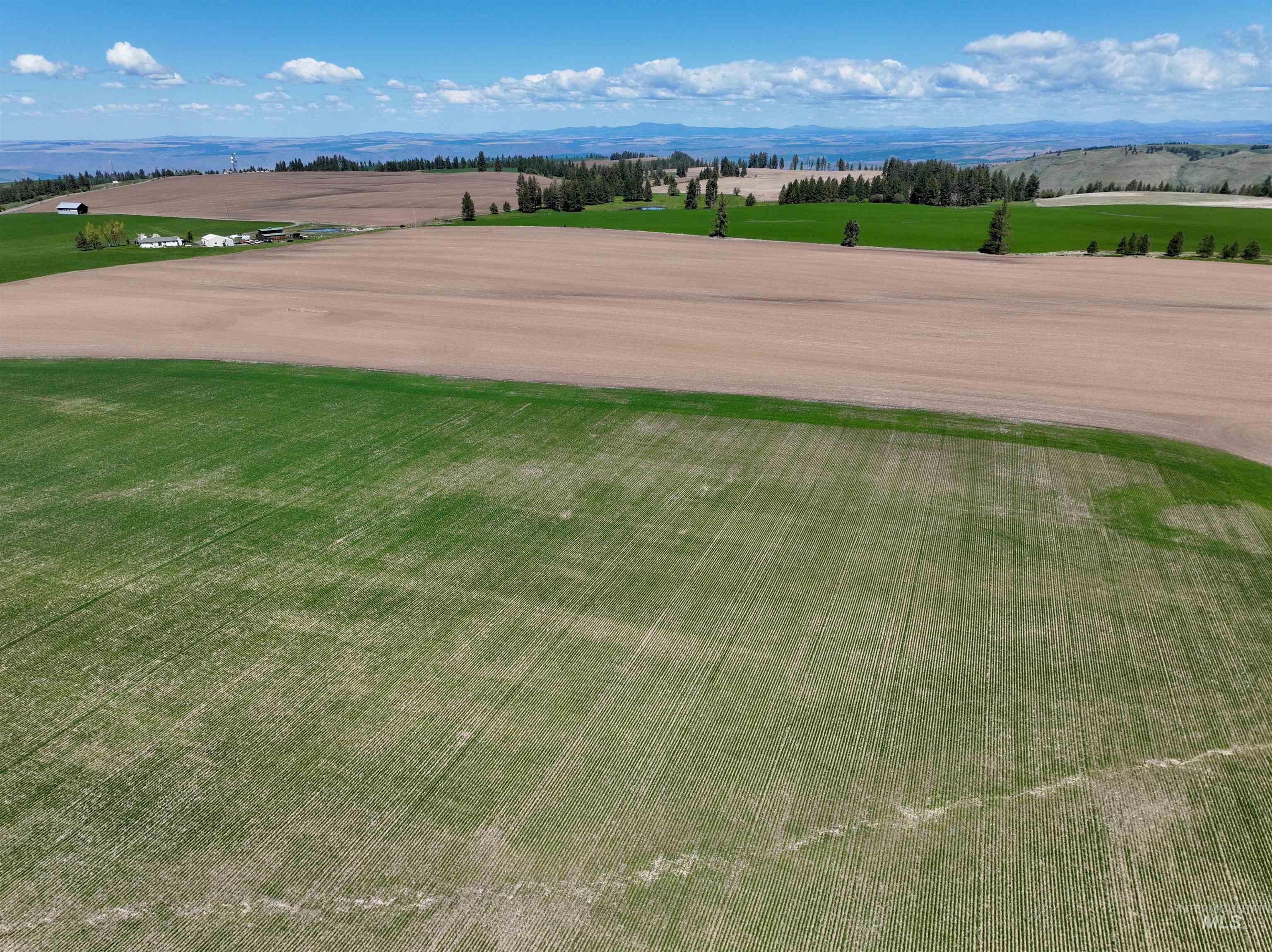 TBD Fowler Rd, Winchester, Idaho 83555, Land For Sale, Price $598,000, 98946802