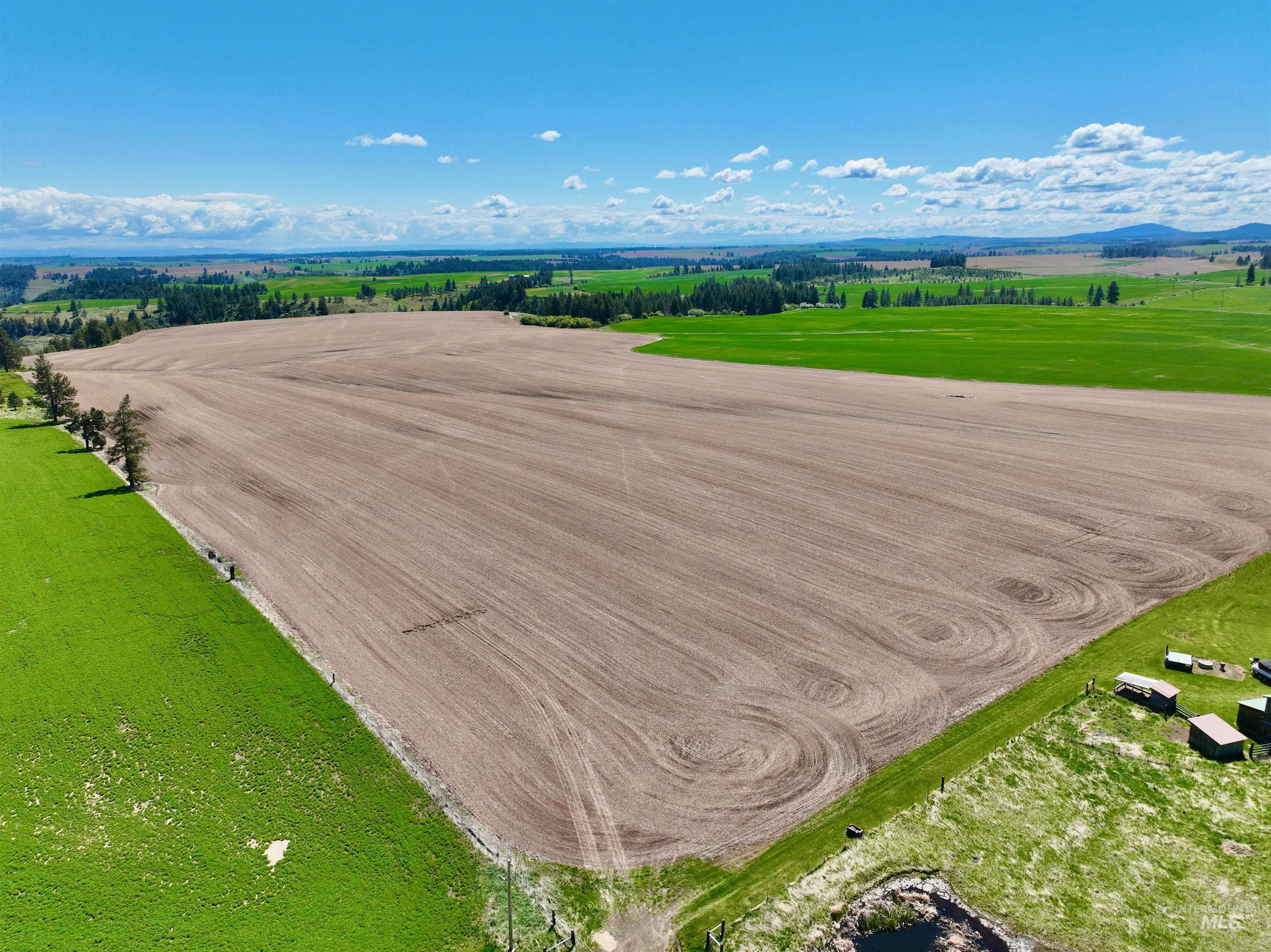 TBD Fowler Rd, Winchester, Idaho 83555, Land For Sale, Price $598,000, 98946802