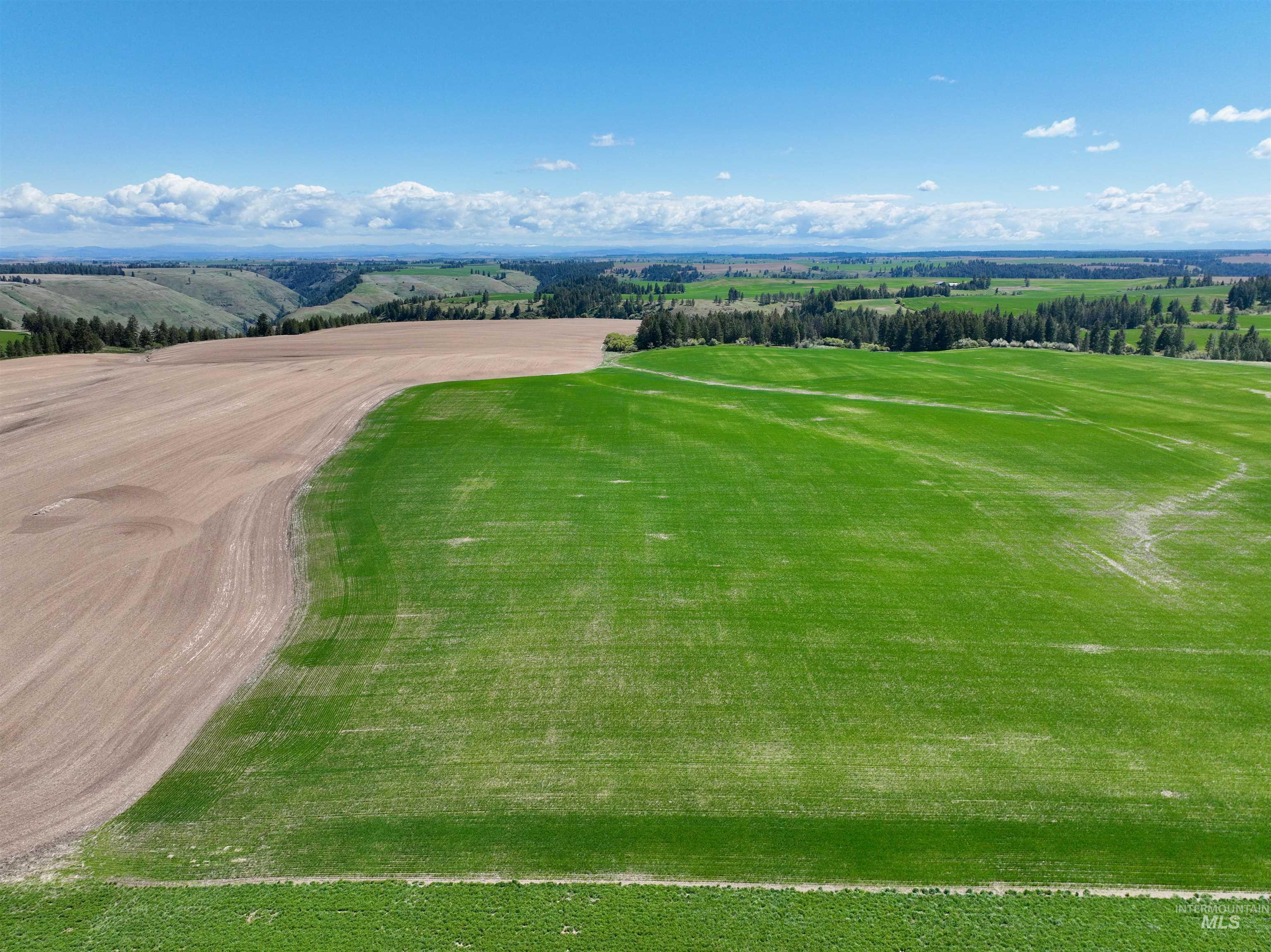 TBD Fowler Rd, Winchester, Idaho 83555, Land For Sale, Price $598,000, 98946802