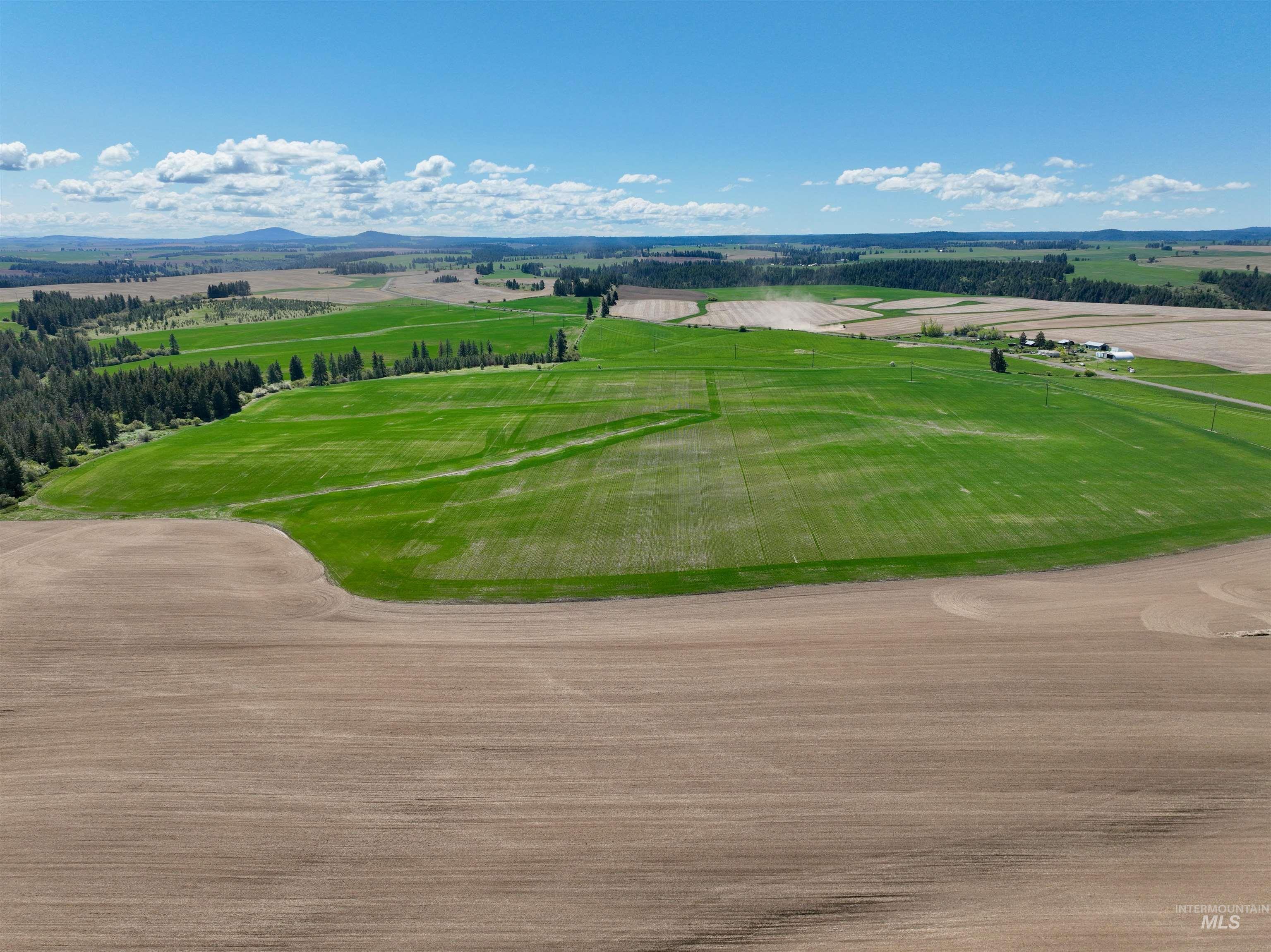 TBD Fowler Rd, Winchester, Idaho 83555, Land For Sale, Price $598,000, 98946802