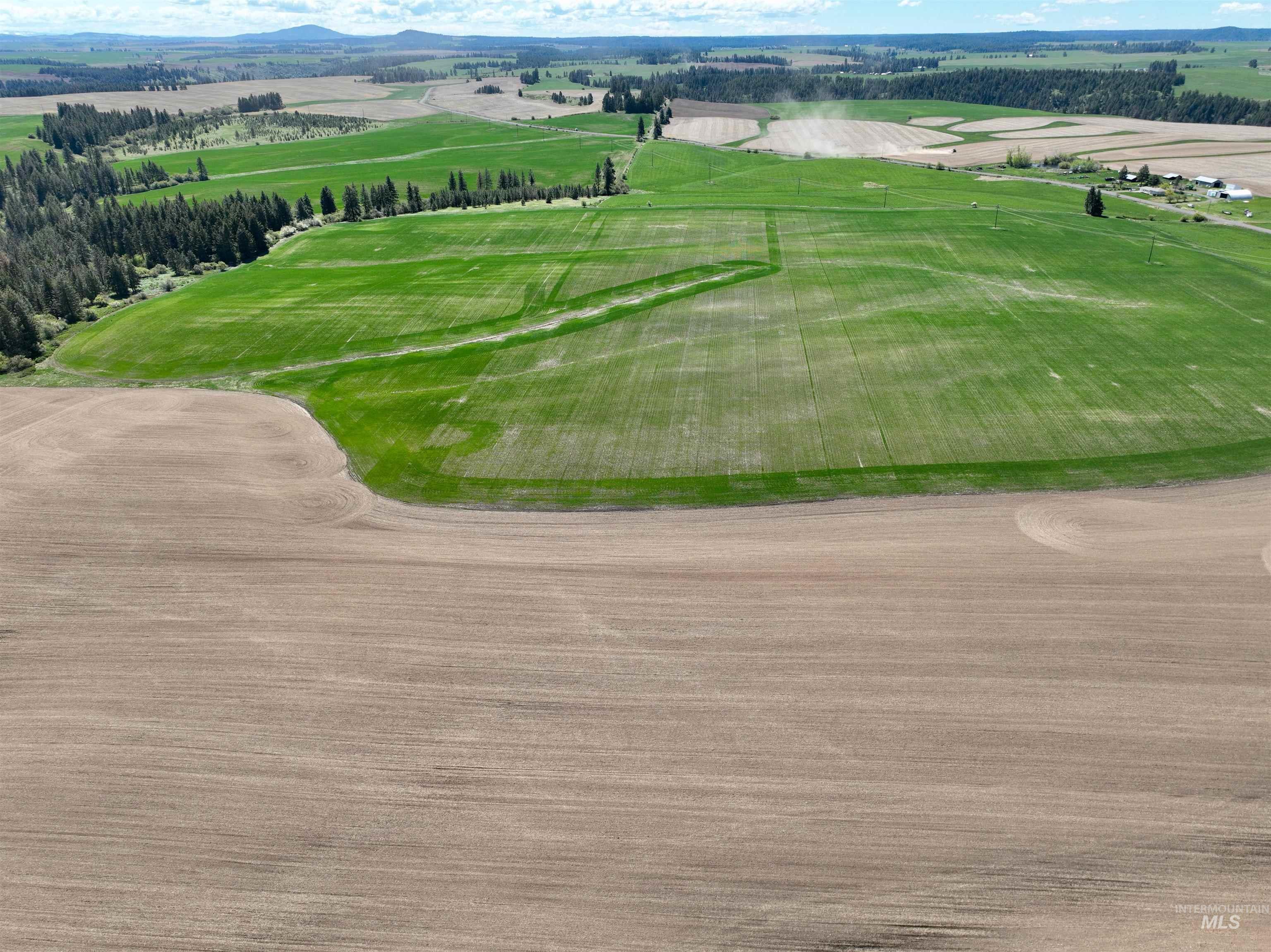 TBD Fowler Rd, Winchester, Idaho 83555, Land For Sale, Price $598,000, 98946802