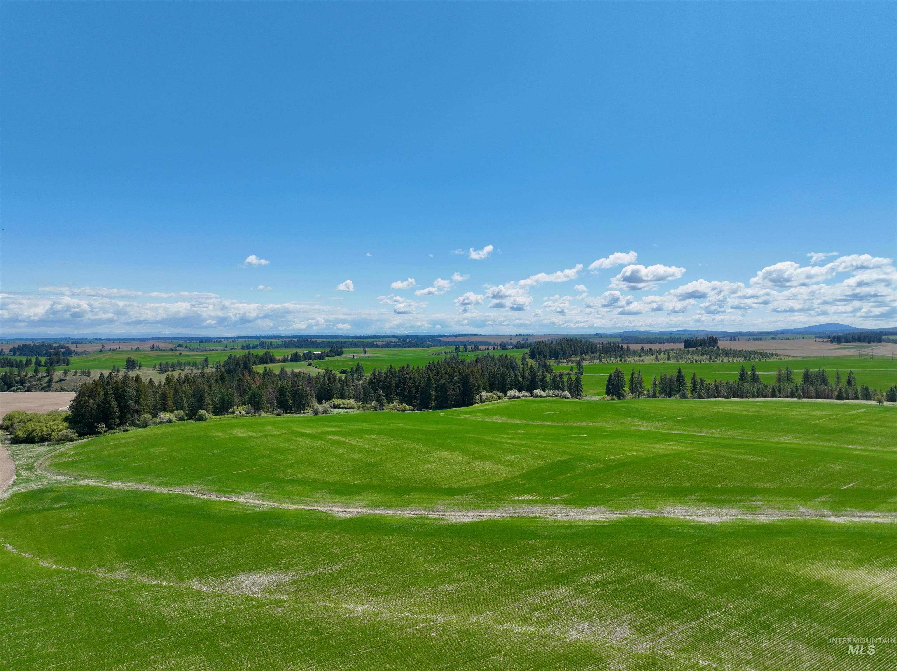 TBD Fowler Rd, Winchester, Idaho 83555, Land For Sale, Price $598,000, 98946802