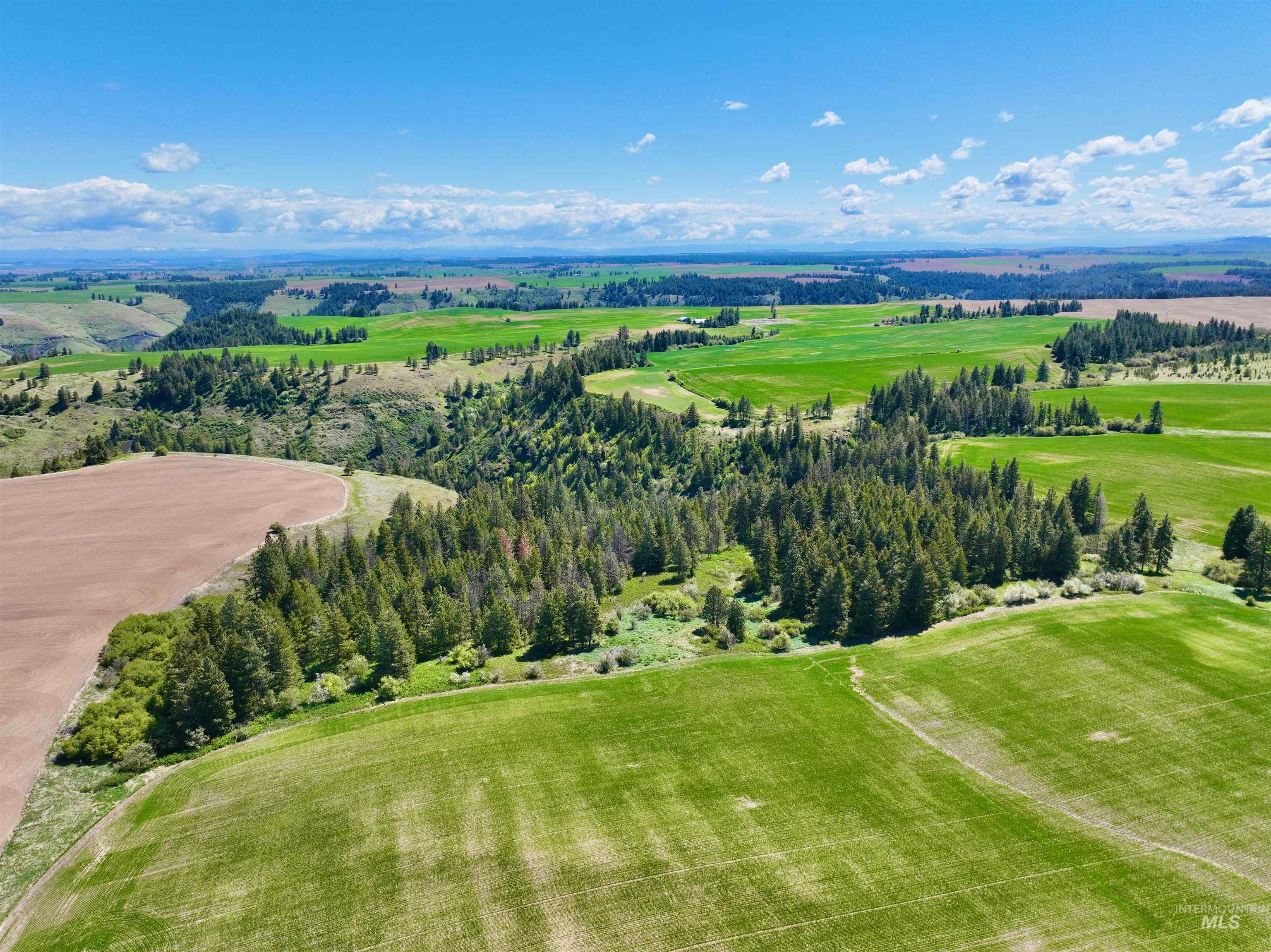 TBD Fowler Rd, Winchester, Idaho 83555, Land For Sale, Price $598,000, 98946802