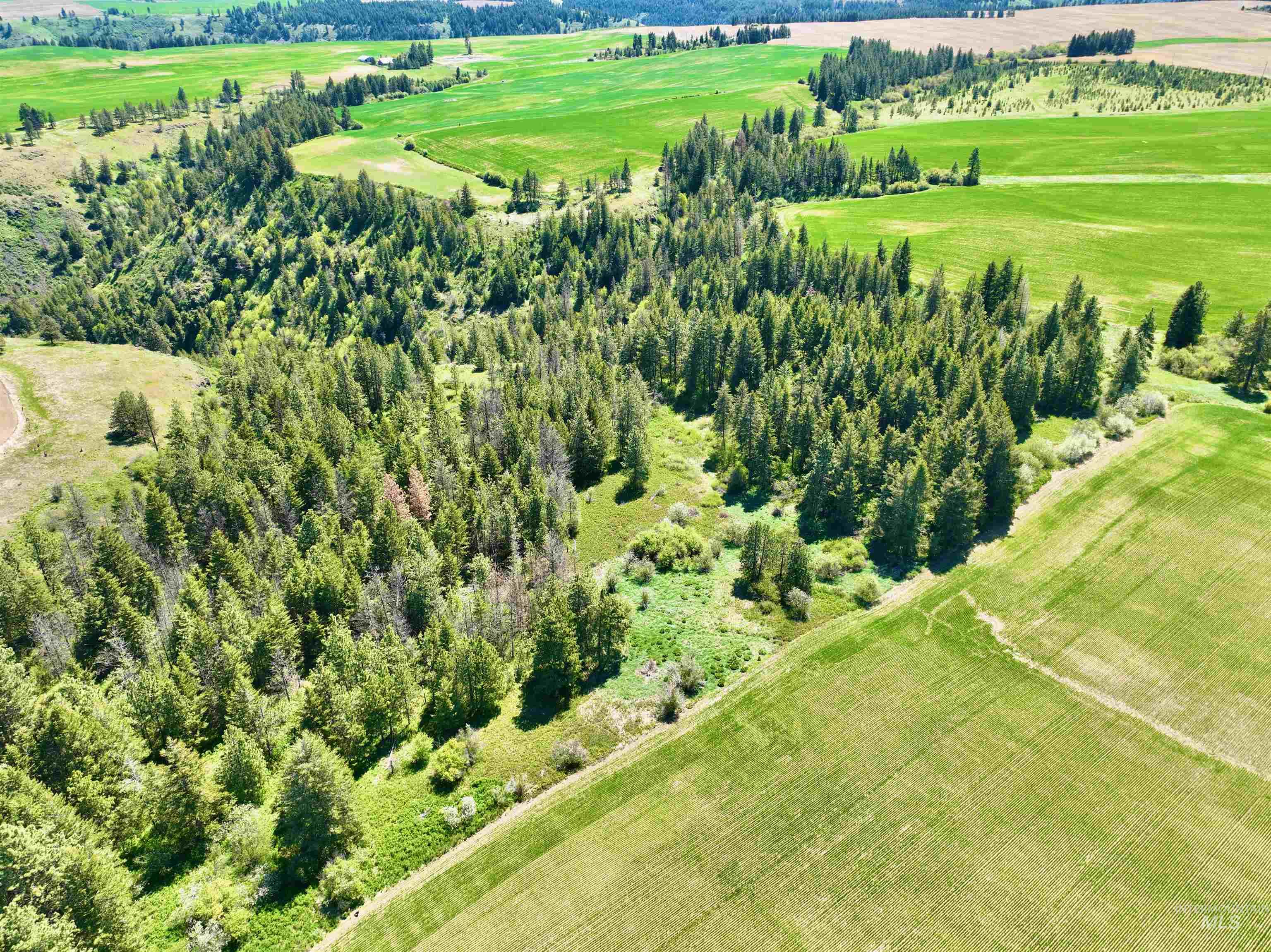 TBD Fowler Rd, Winchester, Idaho 83555, Land For Sale, Price $598,000, 98946802