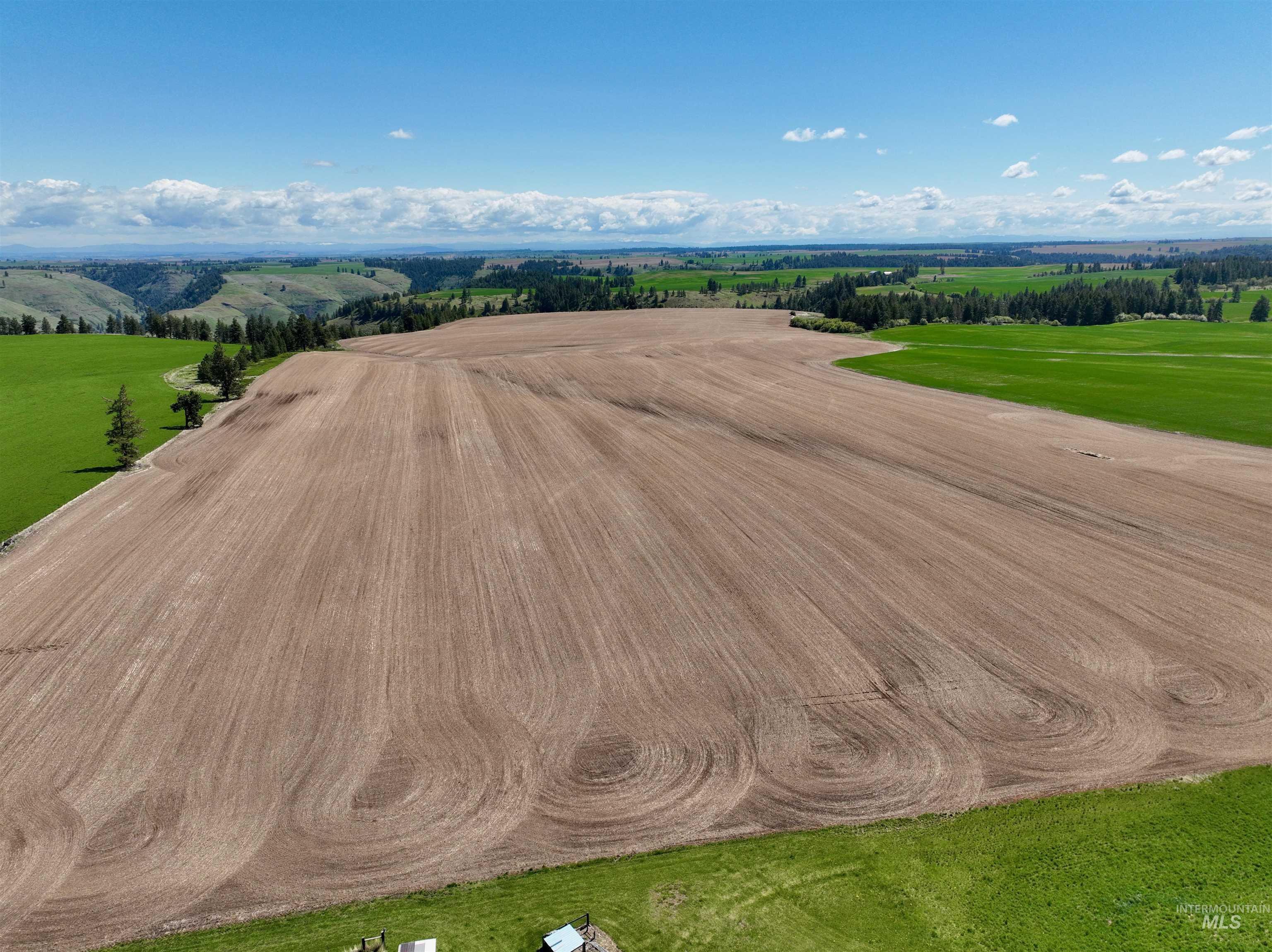 TBD Fowler Rd, Winchester, Idaho 83555, Land For Sale, Price $598,000, 98946803