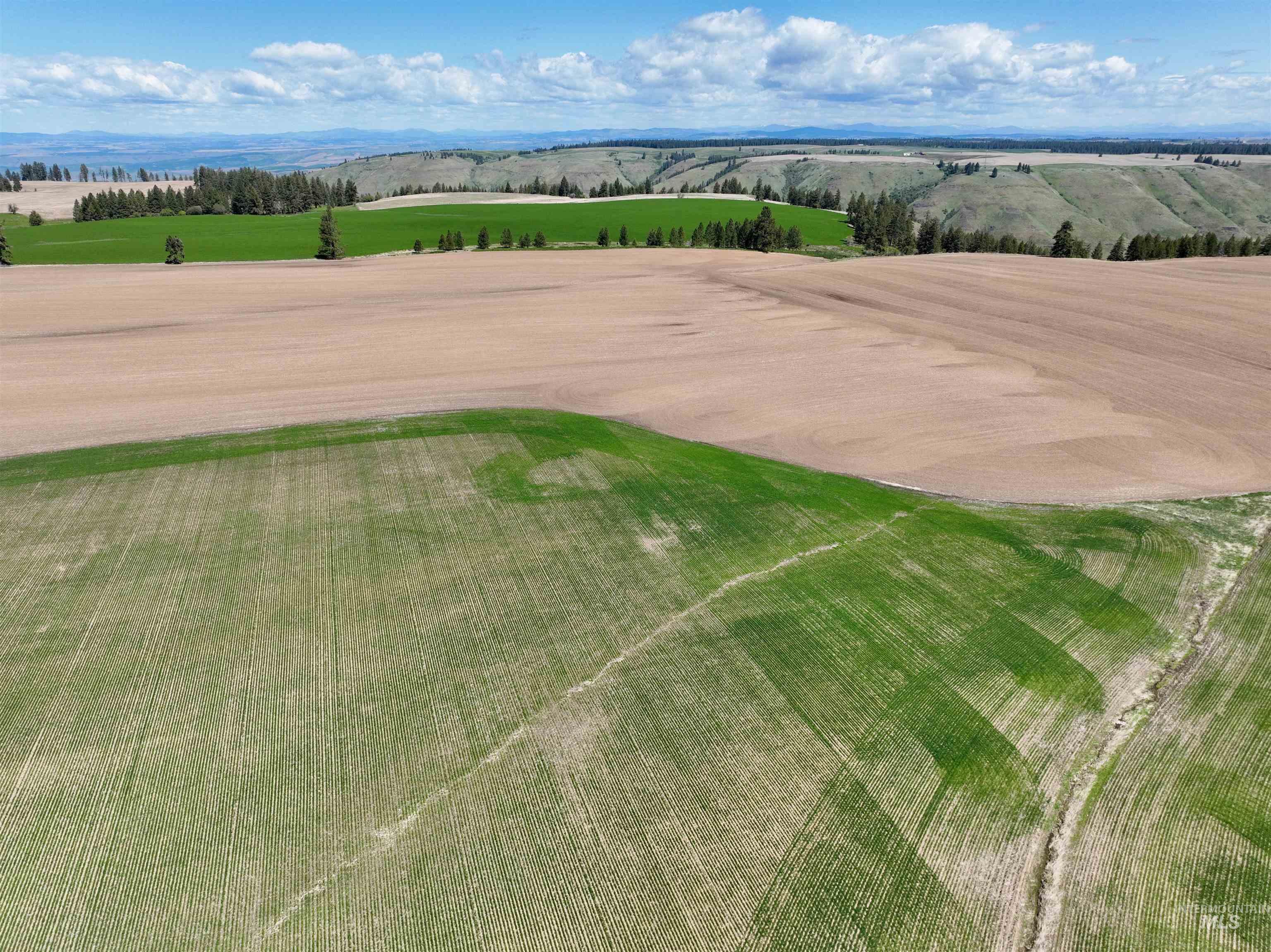 TBD Fowler Rd, Winchester, Idaho 83555, Land For Sale, Price $598,000, 98946803