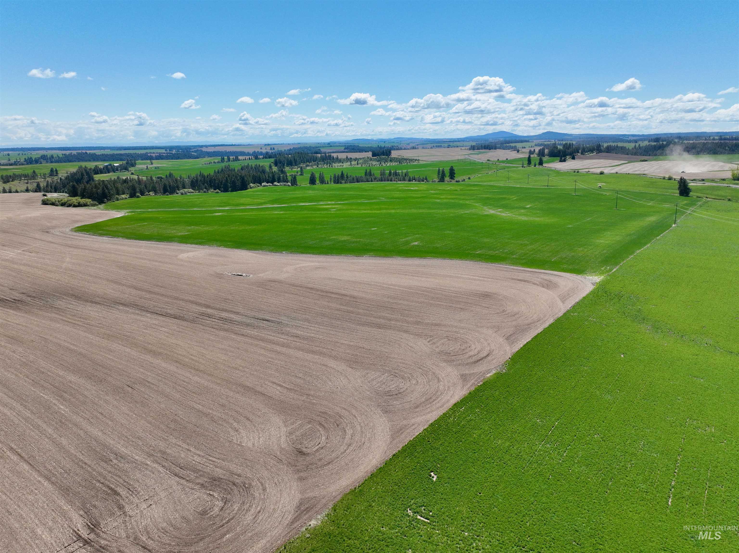 TBD Fowler Rd, Winchester, Idaho 83555, Land For Sale, Price $598,000, 98946803