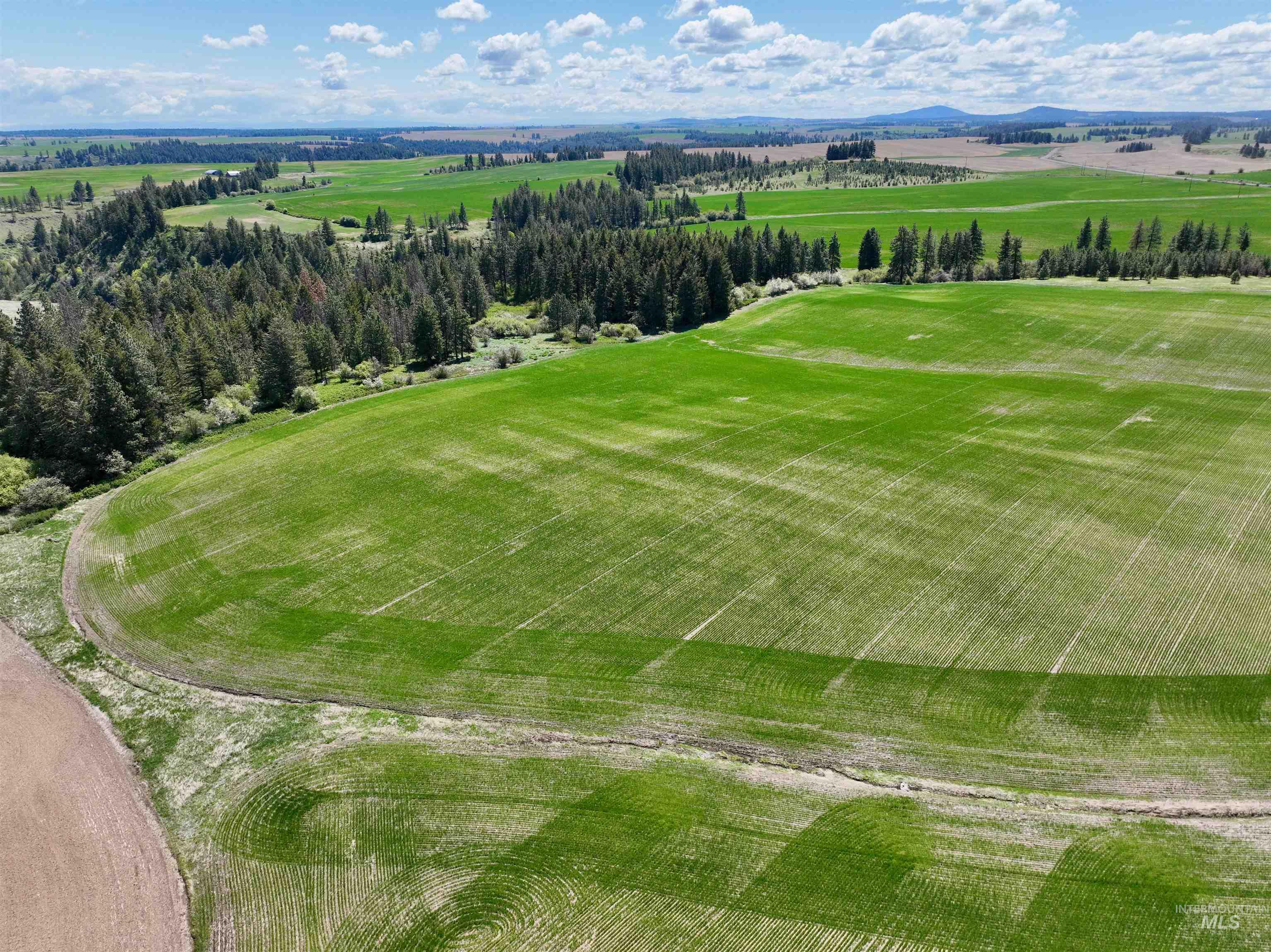 TBD Fowler Rd, Winchester, Idaho 83555, Land For Sale, Price $598,000, 98946803