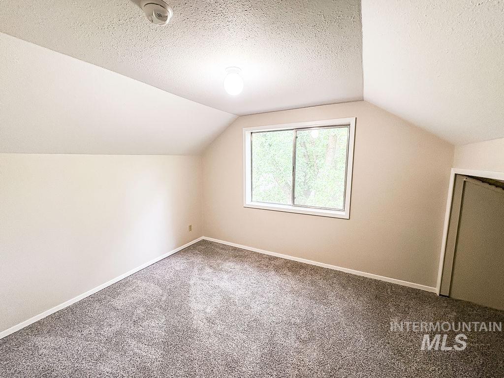 Additional living space with carpet floors, lofted ceiling, and a textured ceiling
