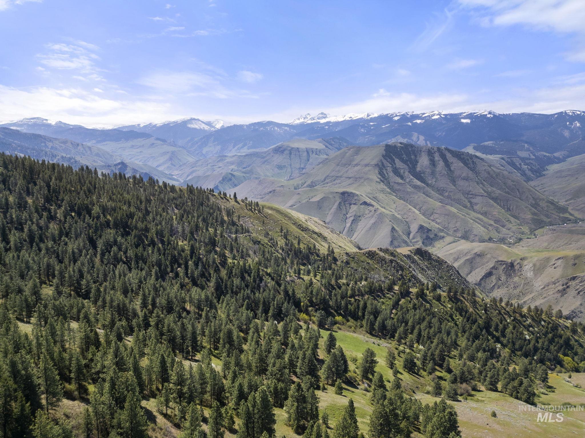 TBD Lightning Creek, Riggins, Idaho 83549, Farm & Ranch For Sale, Price $7,100,000, 98946876