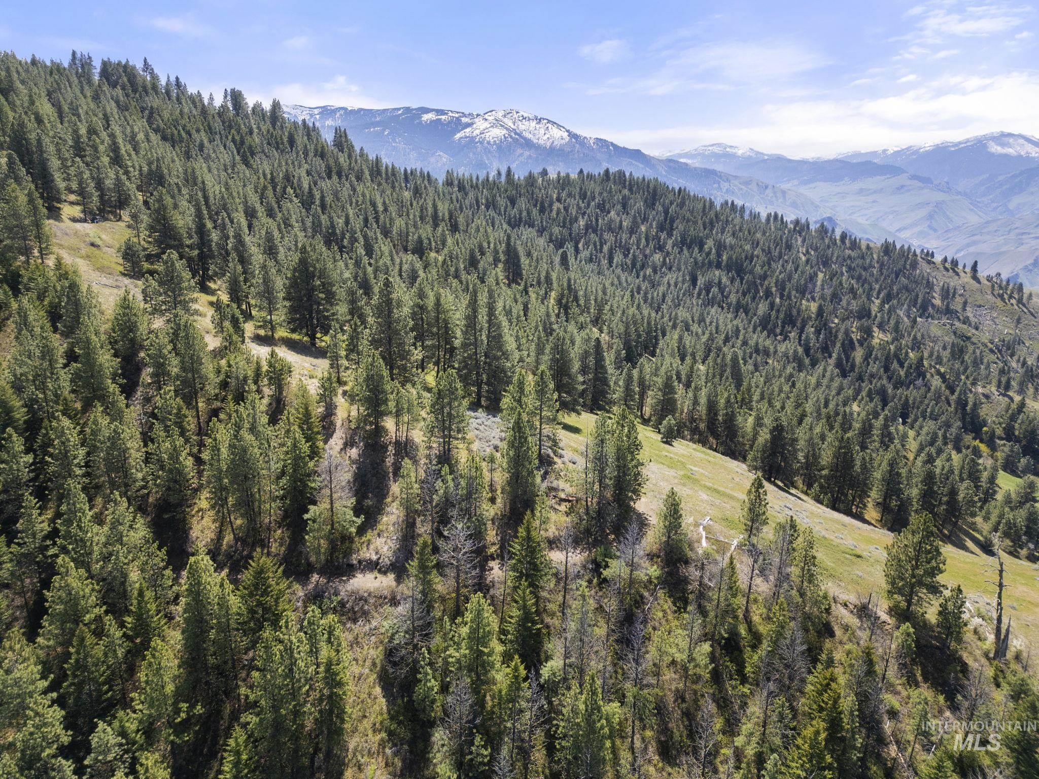 TBD Lightning Creek, Riggins, Idaho 83549, Farm & Ranch For Sale, Price $7,100,000, 98946876