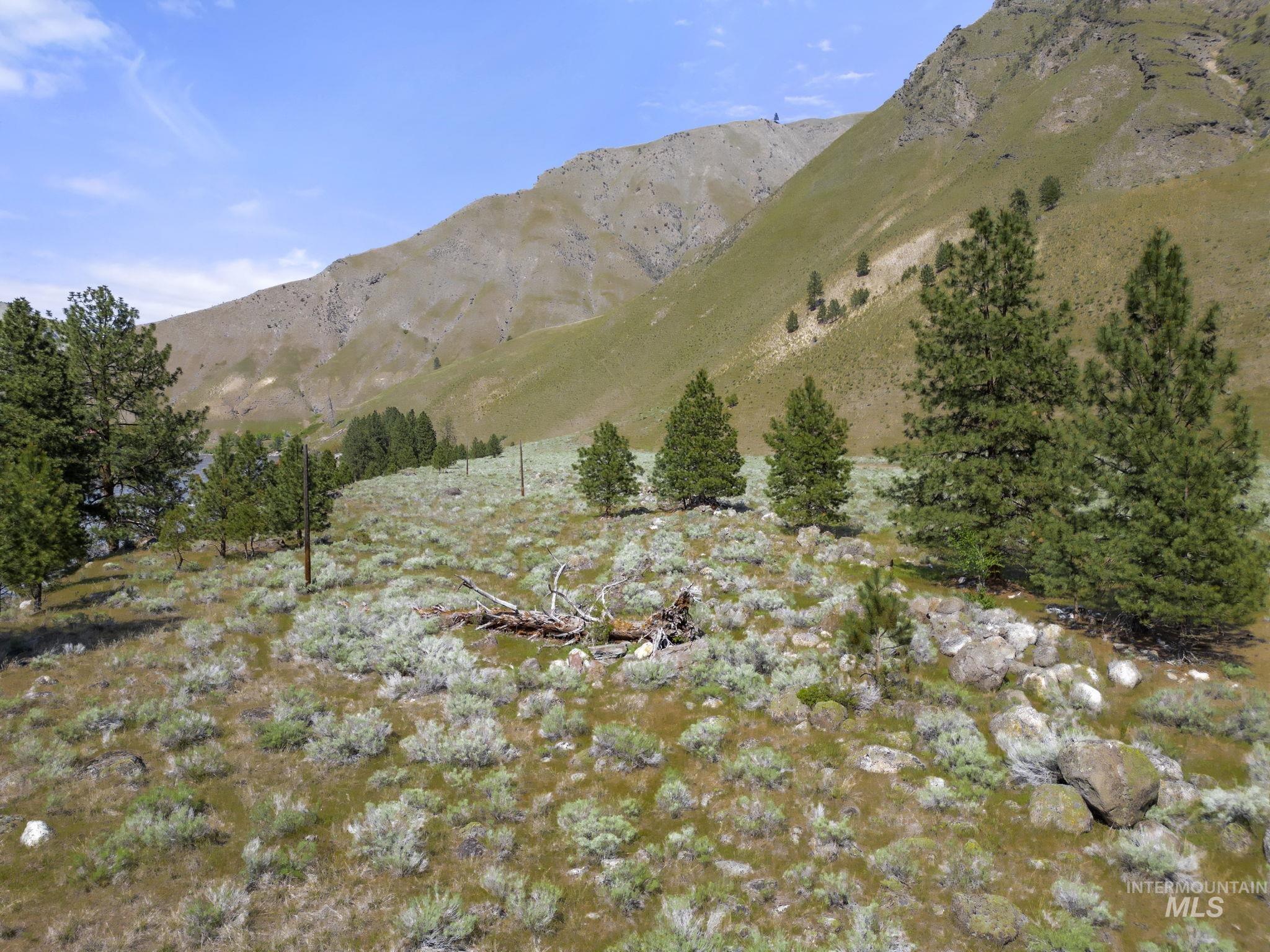 TBD Lightning Creek, Riggins, Idaho 83549, Farm & Ranch For Sale, Price $7,100,000, 98946876
