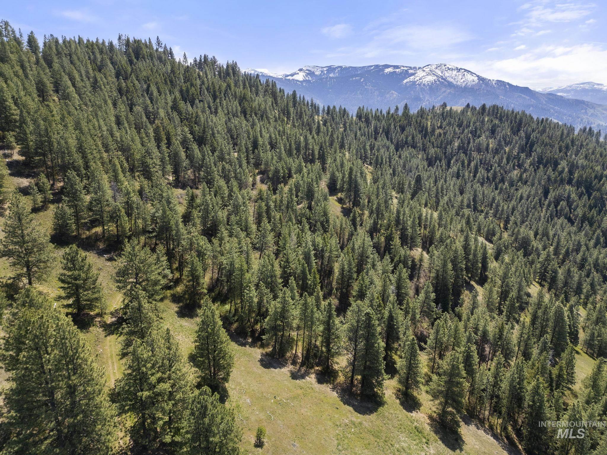 TBD Lightning Creek, Riggins, Idaho 83549, Farm & Ranch For Sale, Price $7,100,000, 98946876