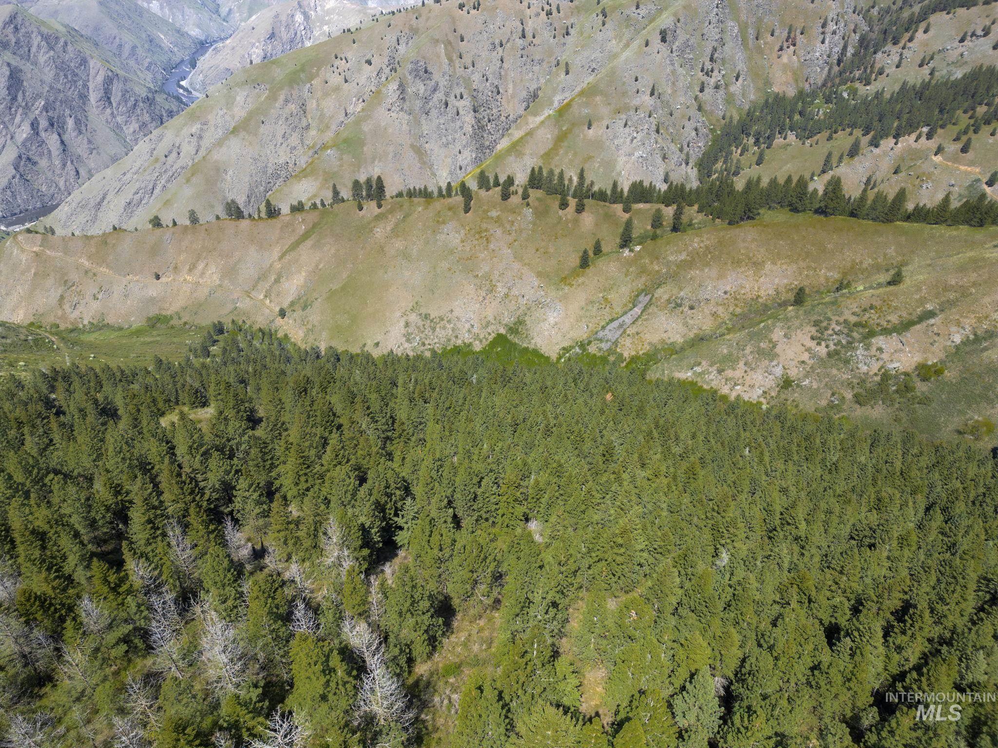 TBD Lightning Creek, Riggins, Idaho 83549, Farm & Ranch For Sale, Price $7,100,000, 98946876