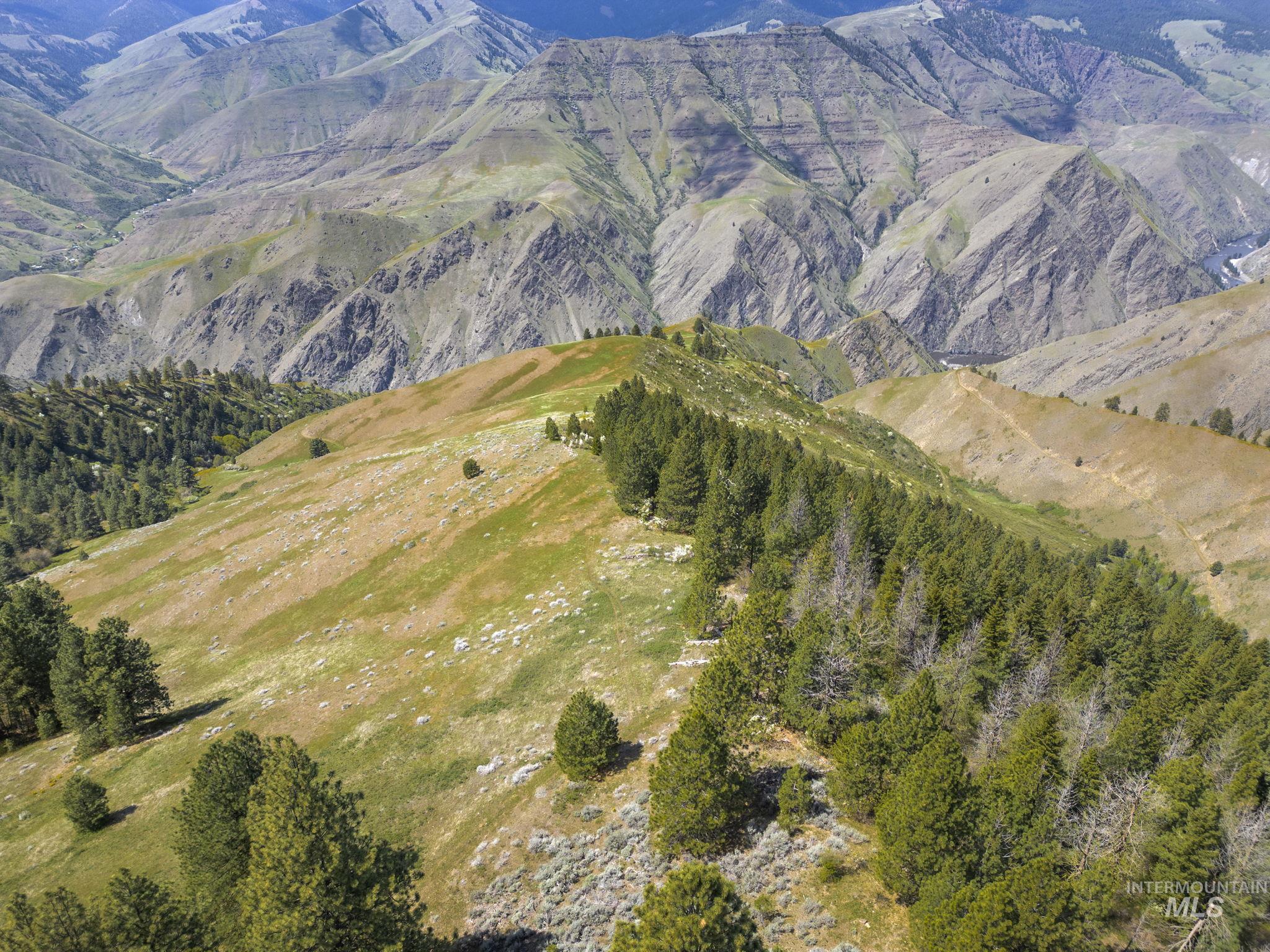 TBD Lightning Creek, Riggins, Idaho 83549, Farm & Ranch For Sale, Price $7,100,000, 98946876