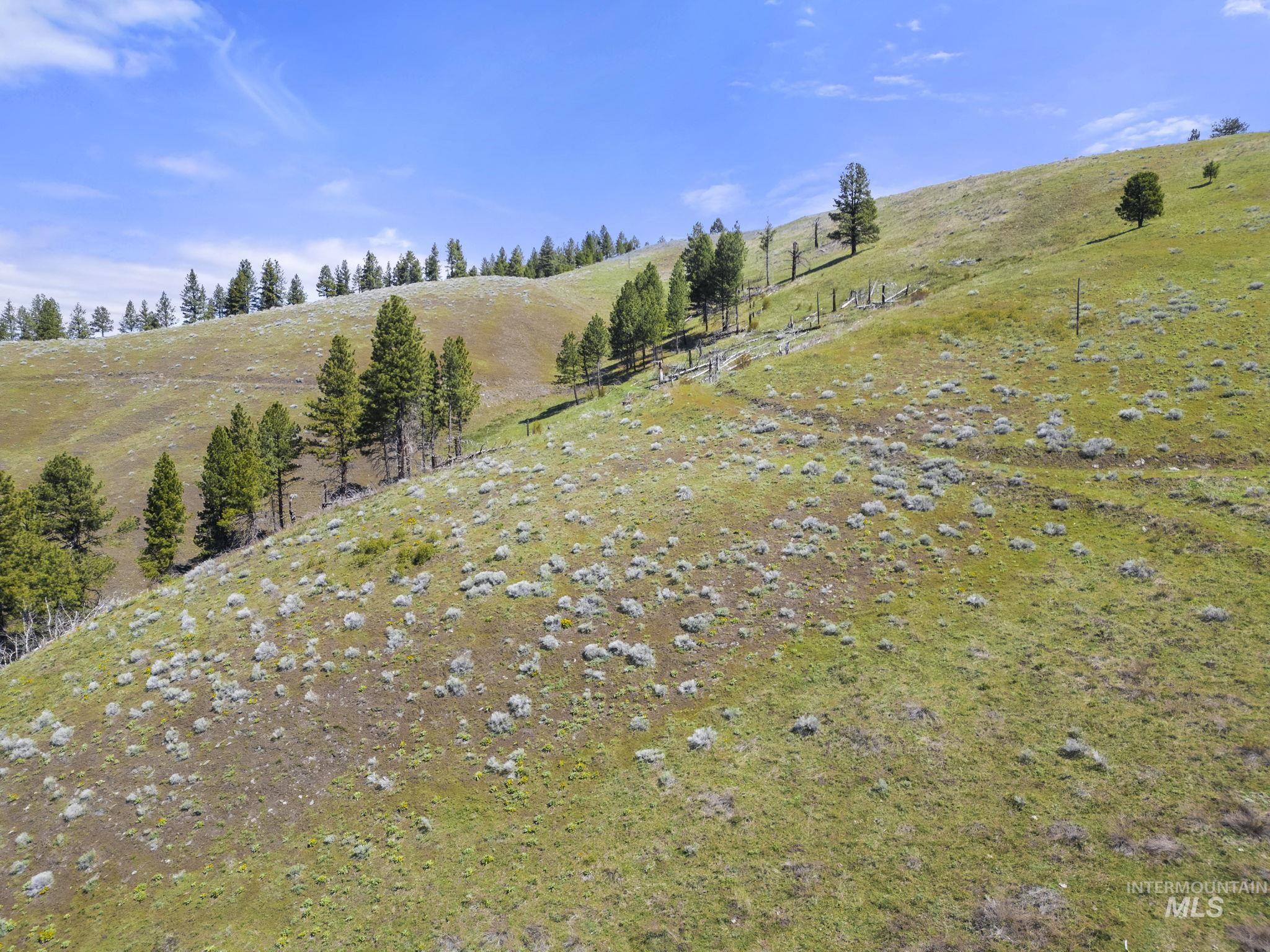 TBD Lightning Creek, Riggins, Idaho 83549, Farm & Ranch For Sale, Price $7,100,000, 98946876