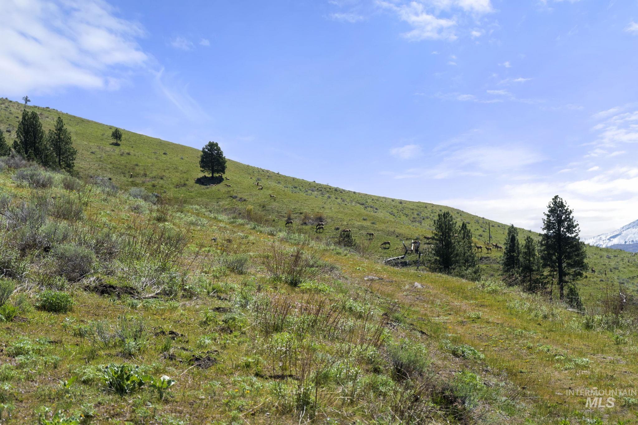 TBD Lightning Creek, Riggins, Idaho 83549, Farm & Ranch For Sale, Price $7,100,000, 98946876